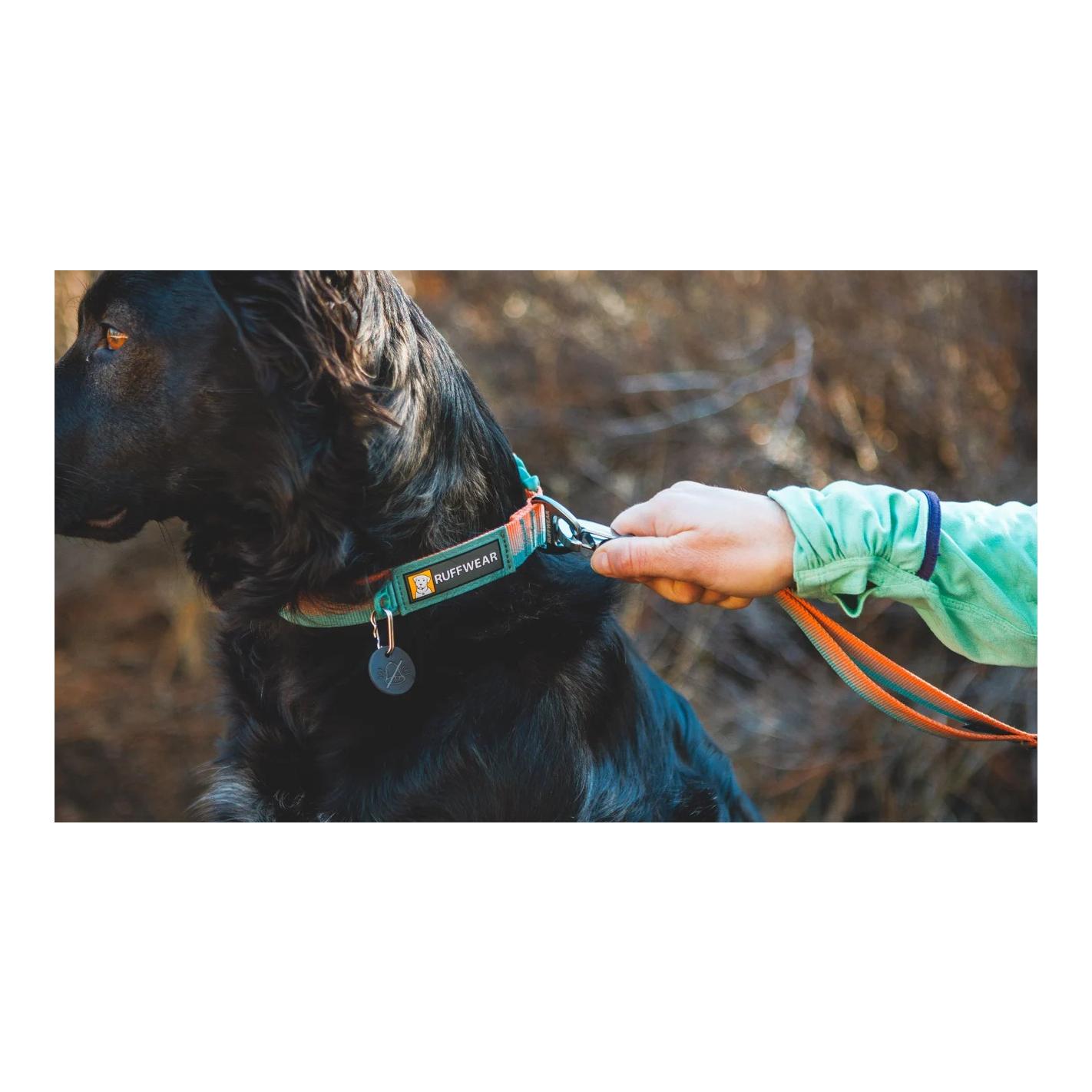 Ruffwear Front Range™ Collier de chien