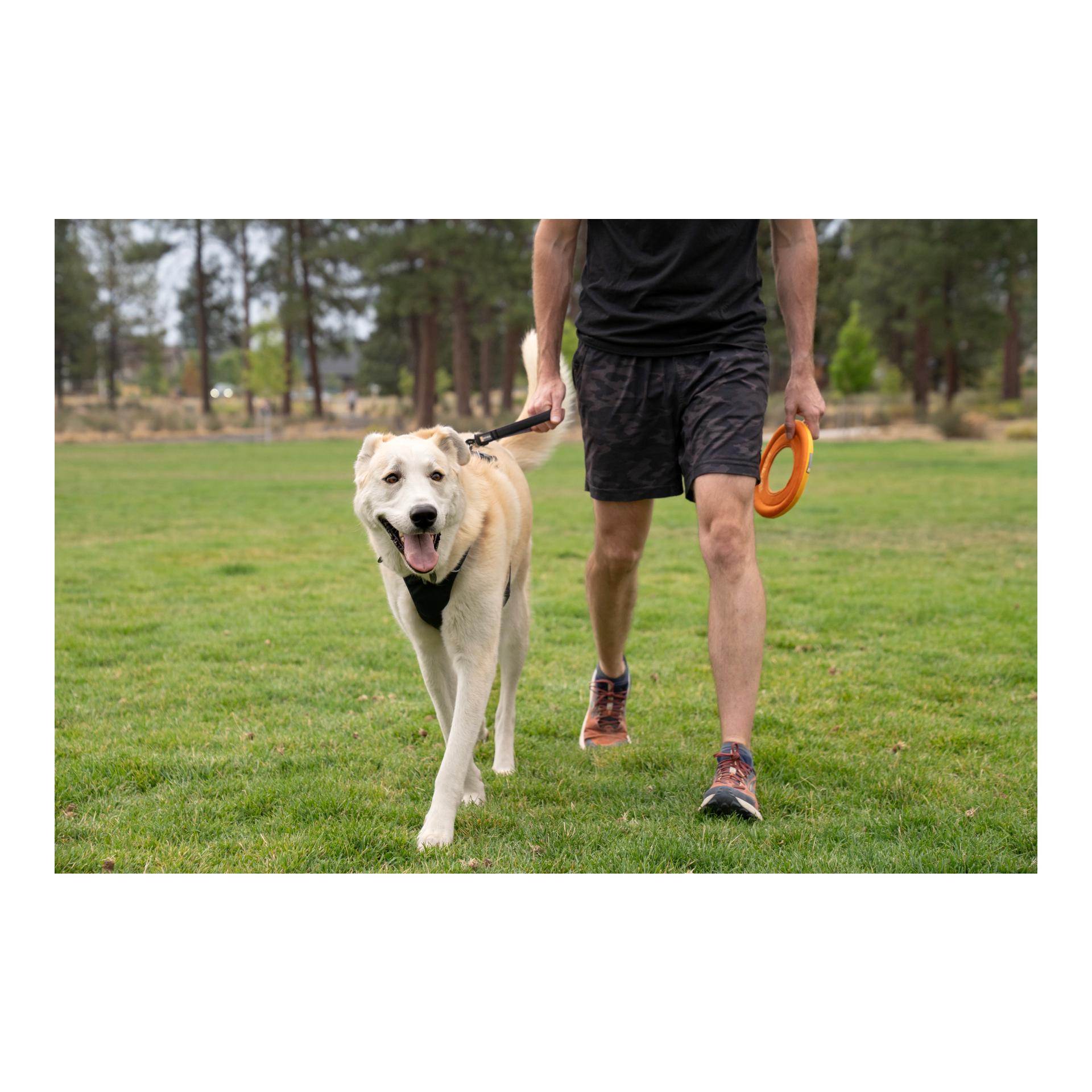 Ruffwear Front Range™ Kurzleine