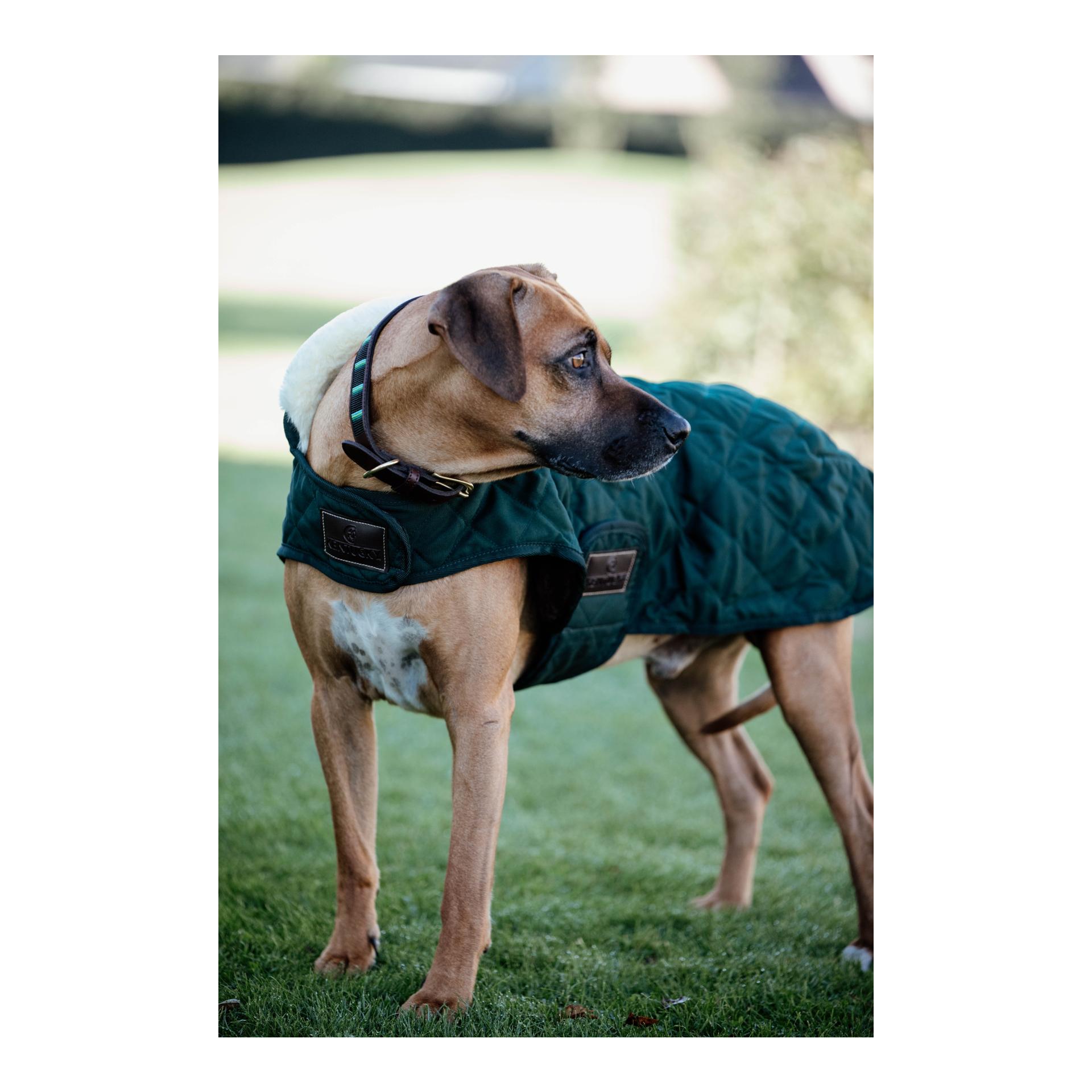 Kentucky Dogwear Manteau pour chien Original - vert foncé