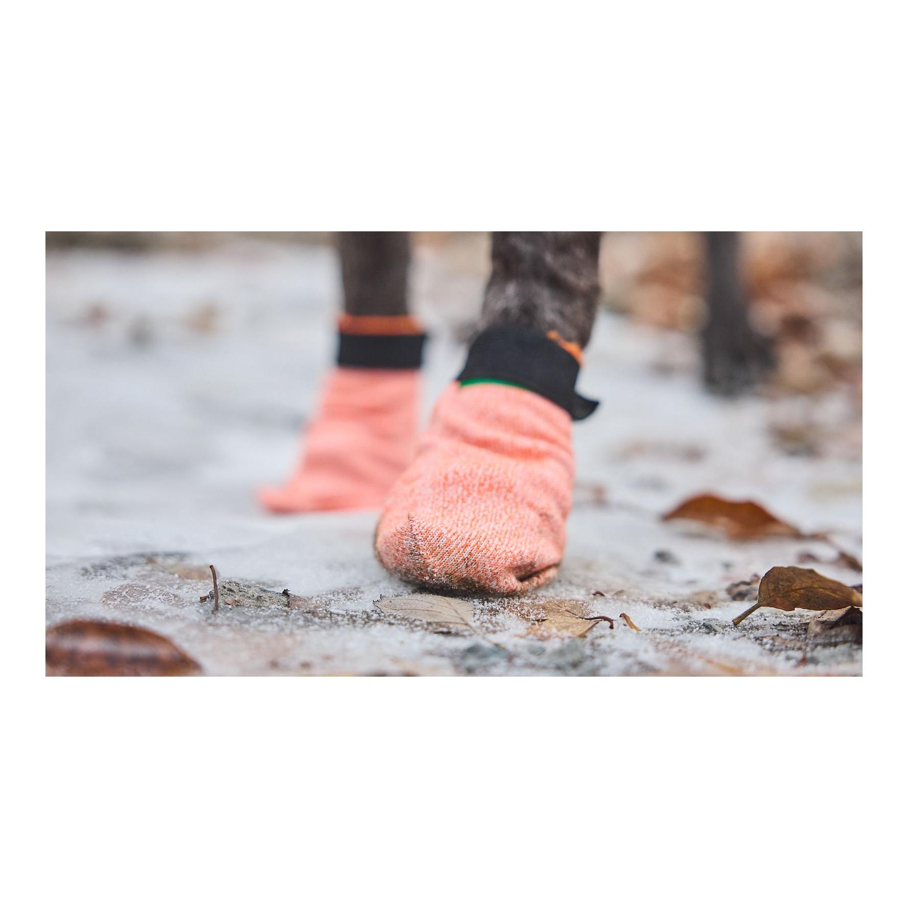 Non-stop Dogwear Protector Light Socks Chaussures pour chiens