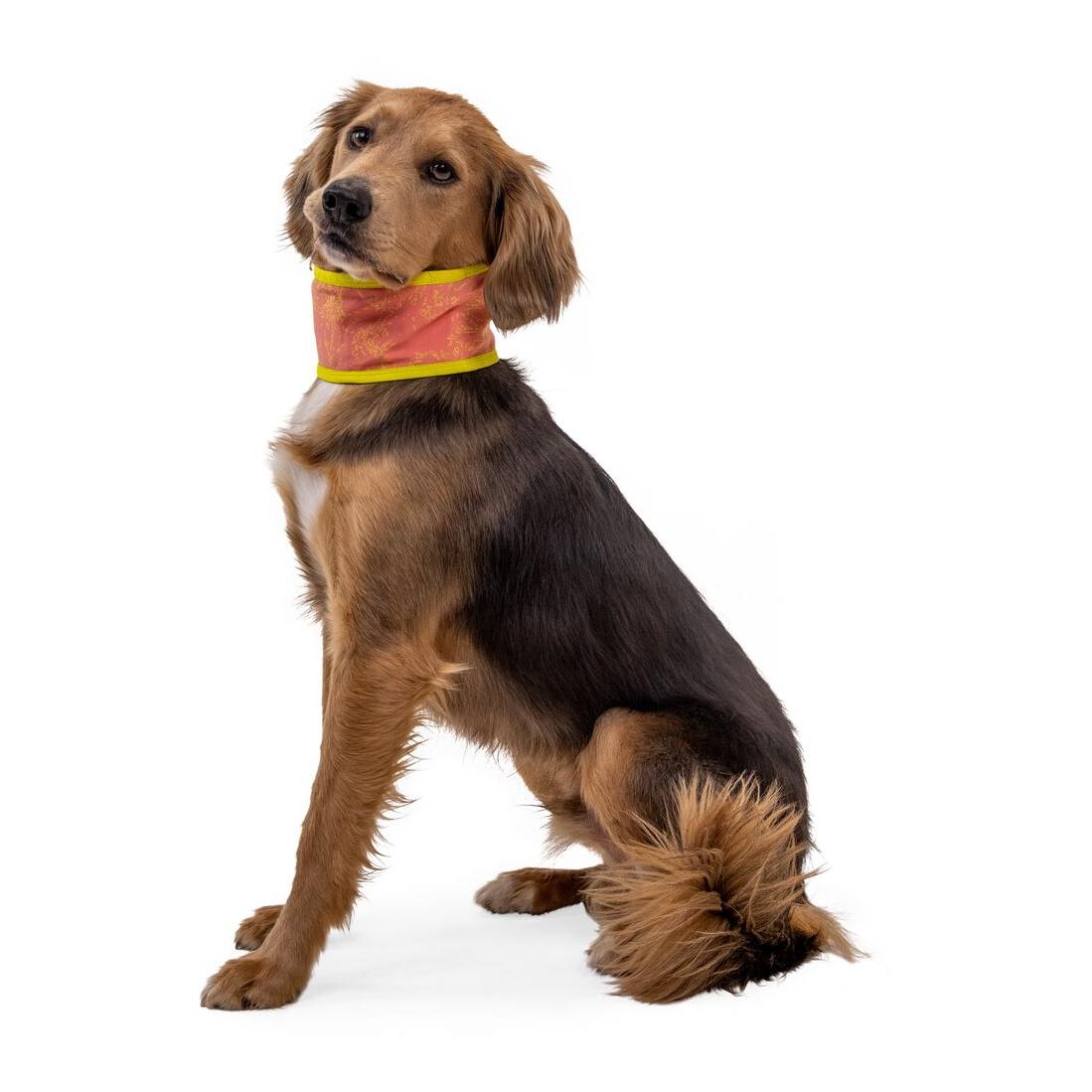 Ruffwear Swamp Cooler™ Halstuch