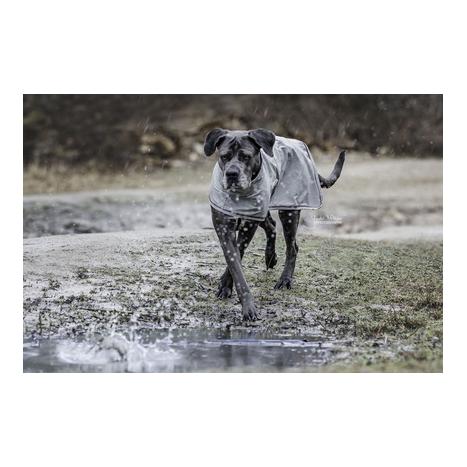 Kentucky Dogwear Hunde Regenjacke