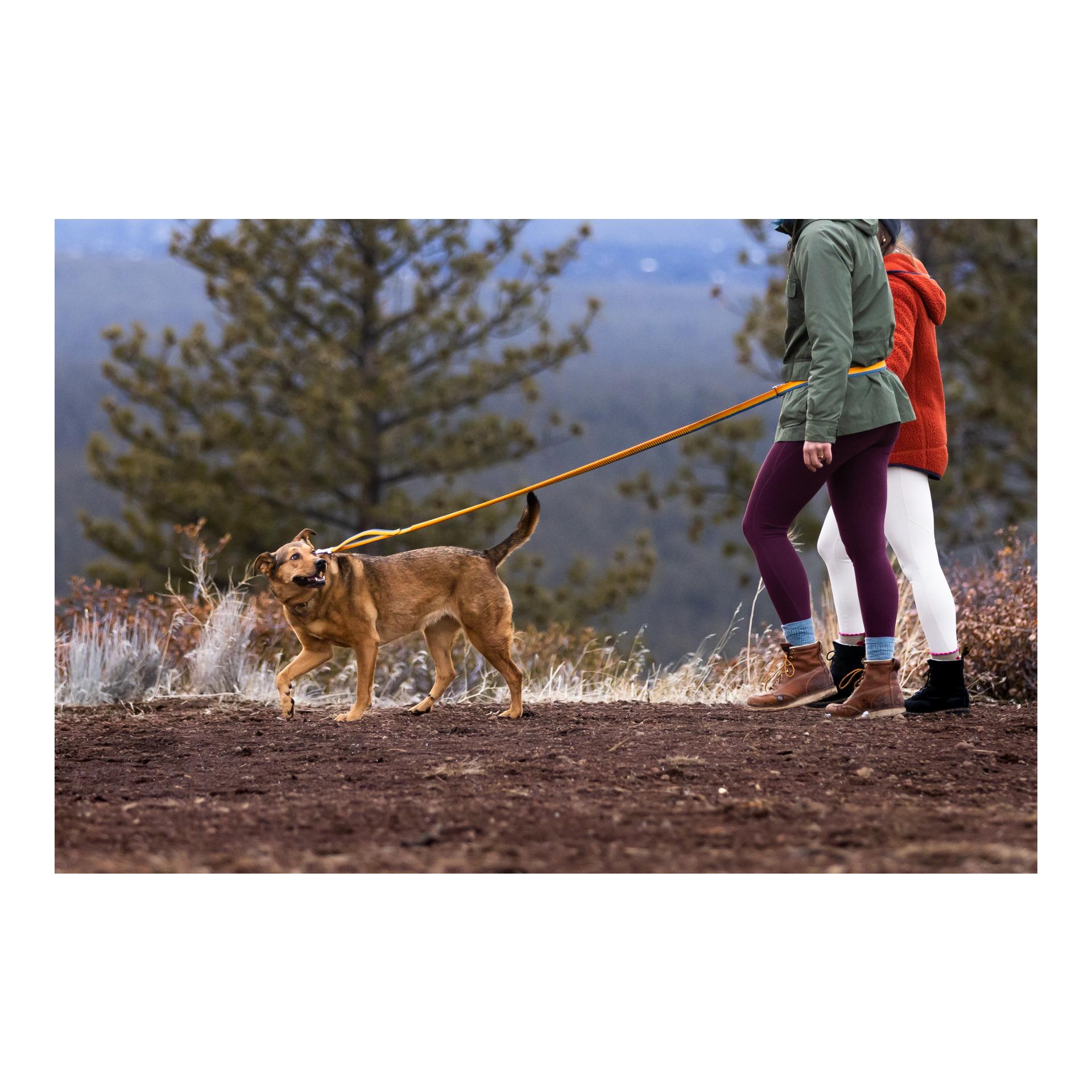 Ruffwear Laisse de jogging Roamer Bungee
