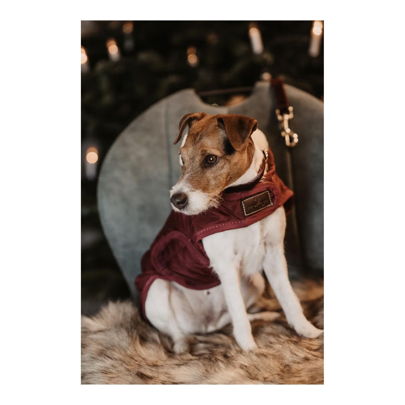 Kentucky Dogwear Hundemantel Original - bordeaux