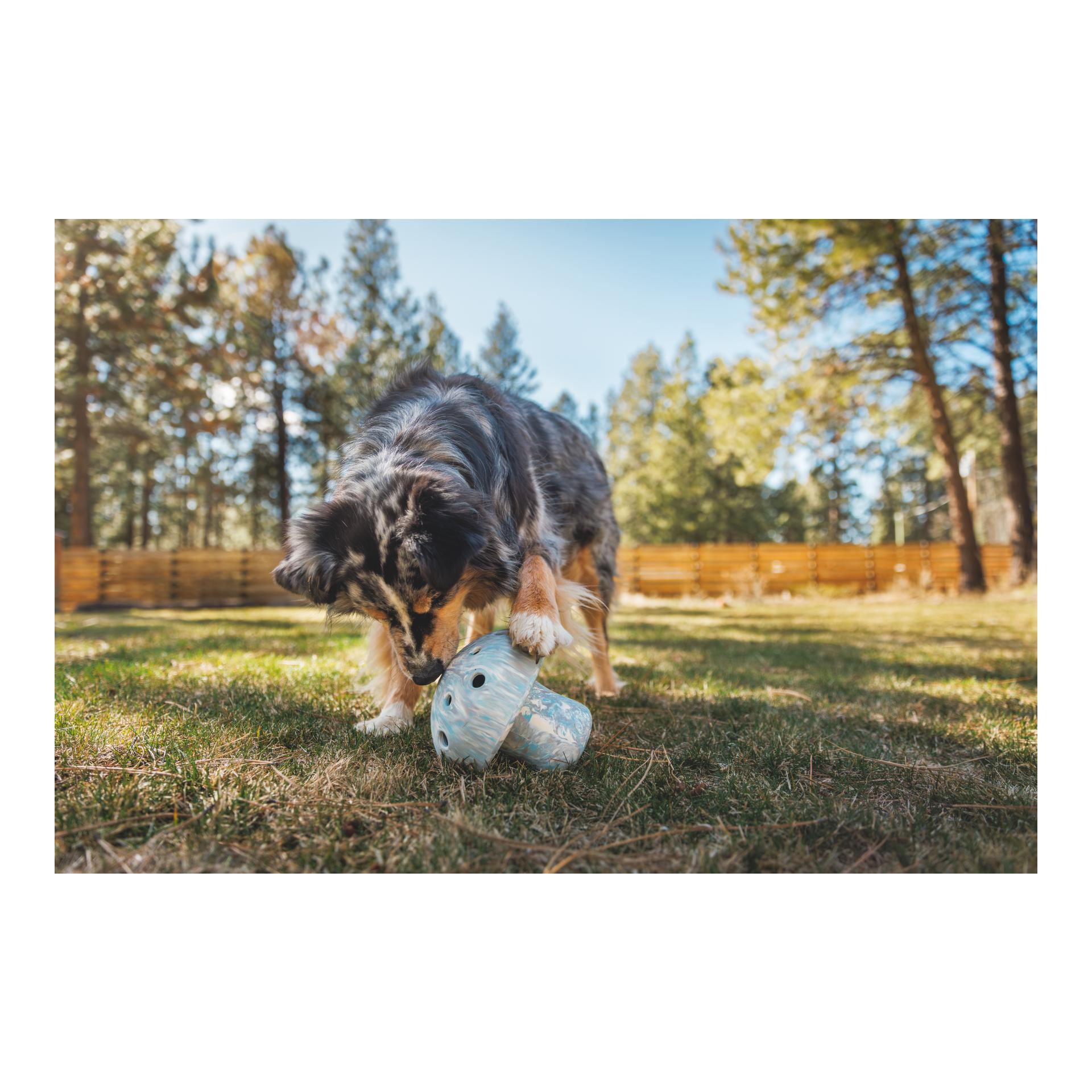 Ruffwear Jouet pour chien Porchini