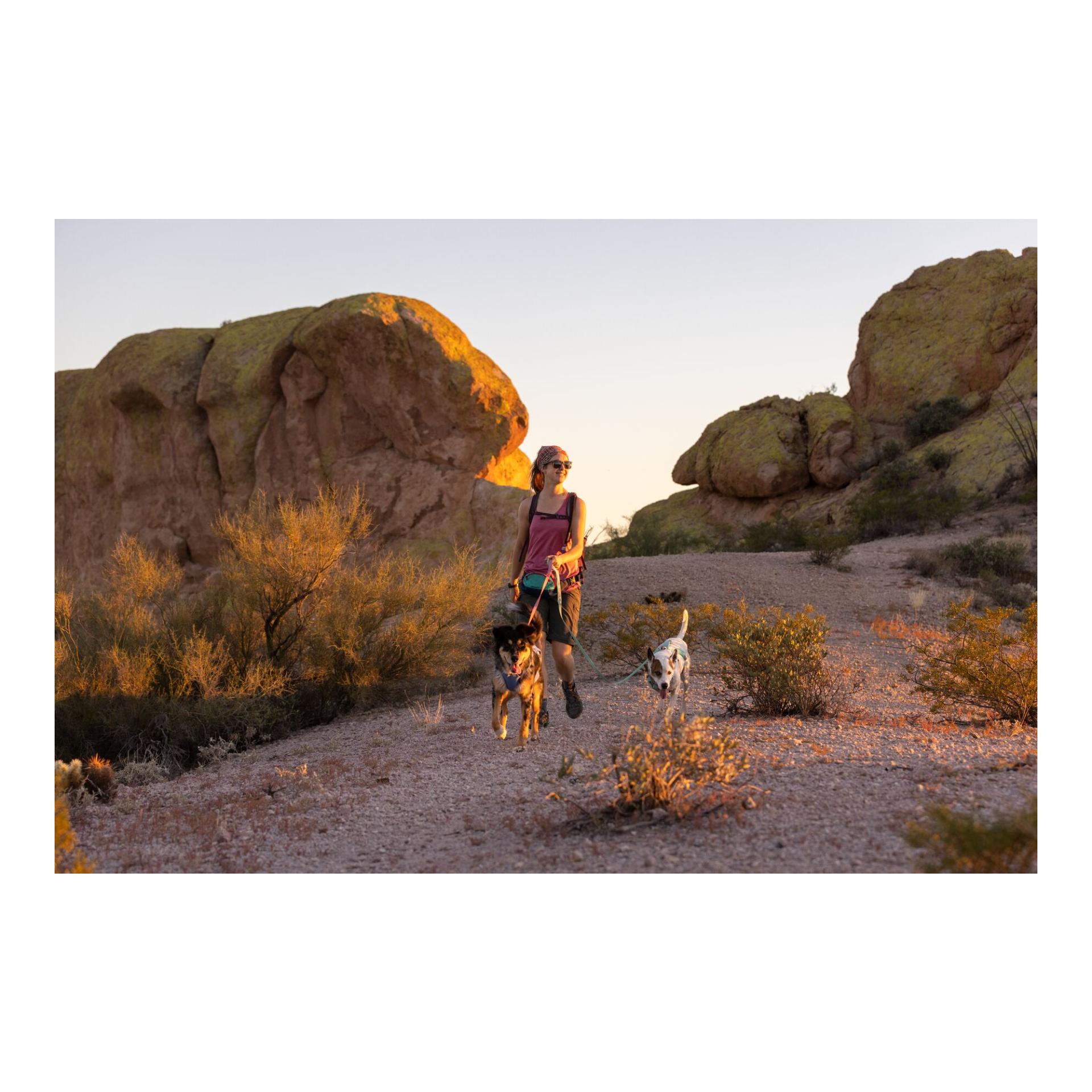 Ruffwear Harnais Swamp Cooler Zip™