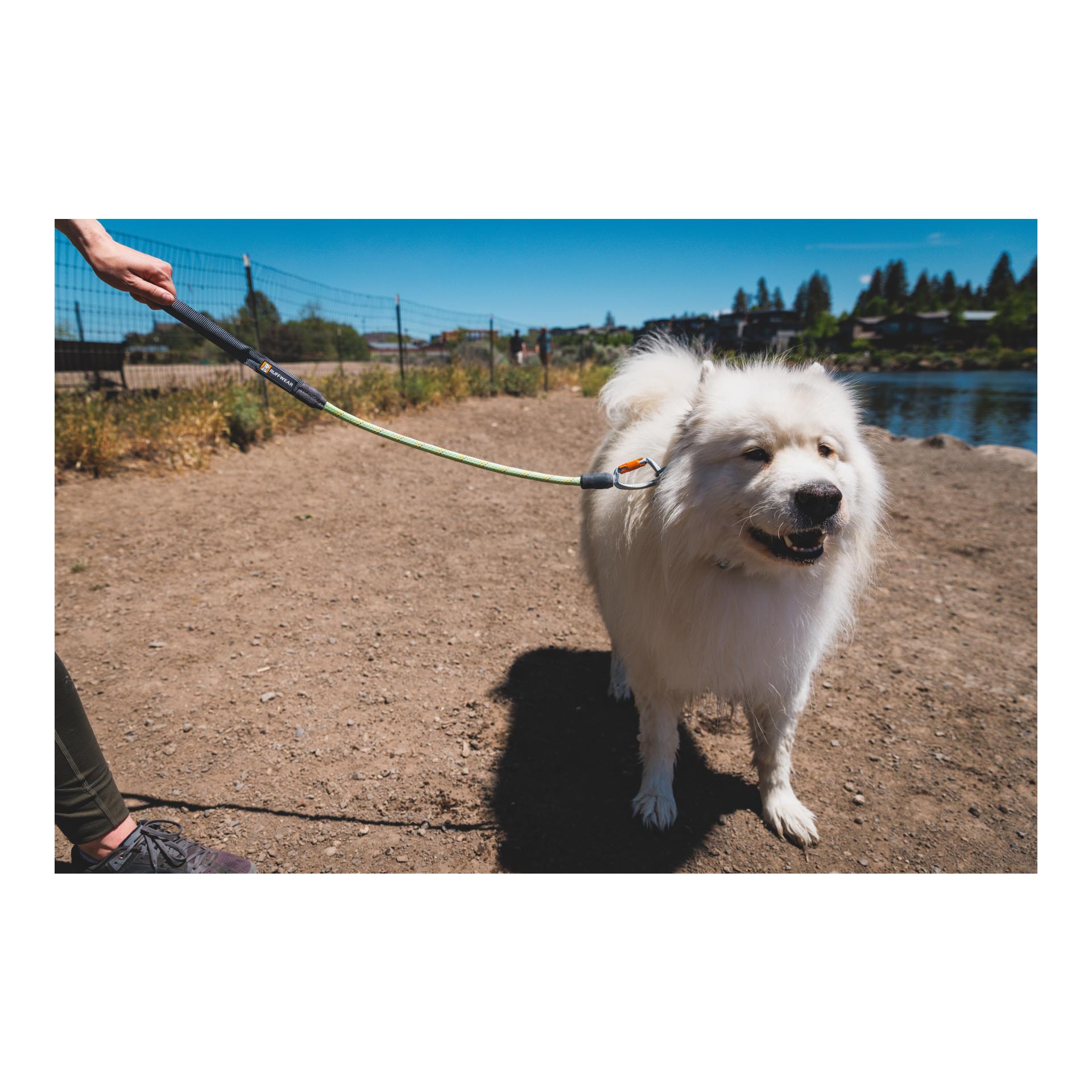 Ruffwear Knot-a-Long Leash Laisse pour chien