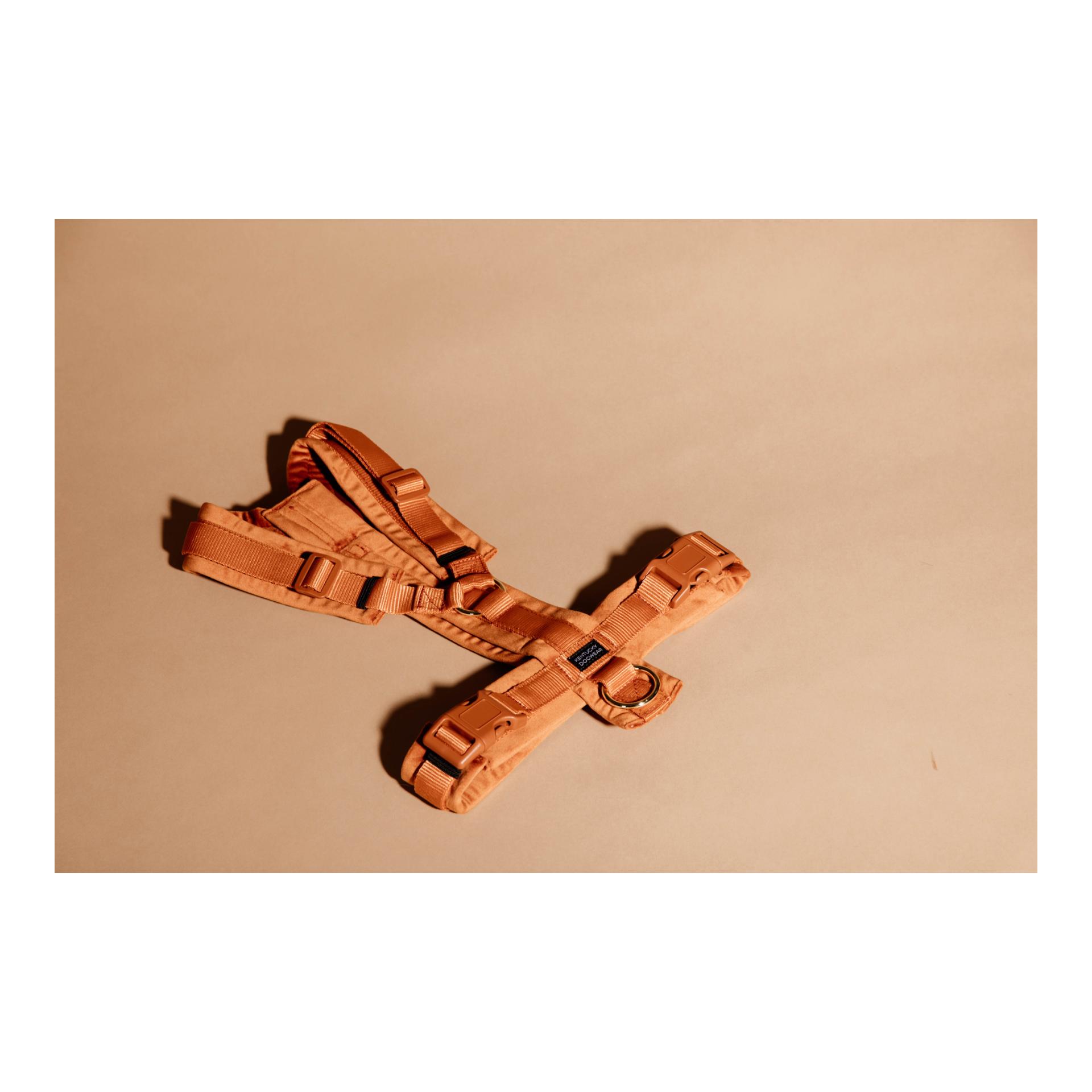 Kentucky Dogwear Hundegeschirr Active Velvet