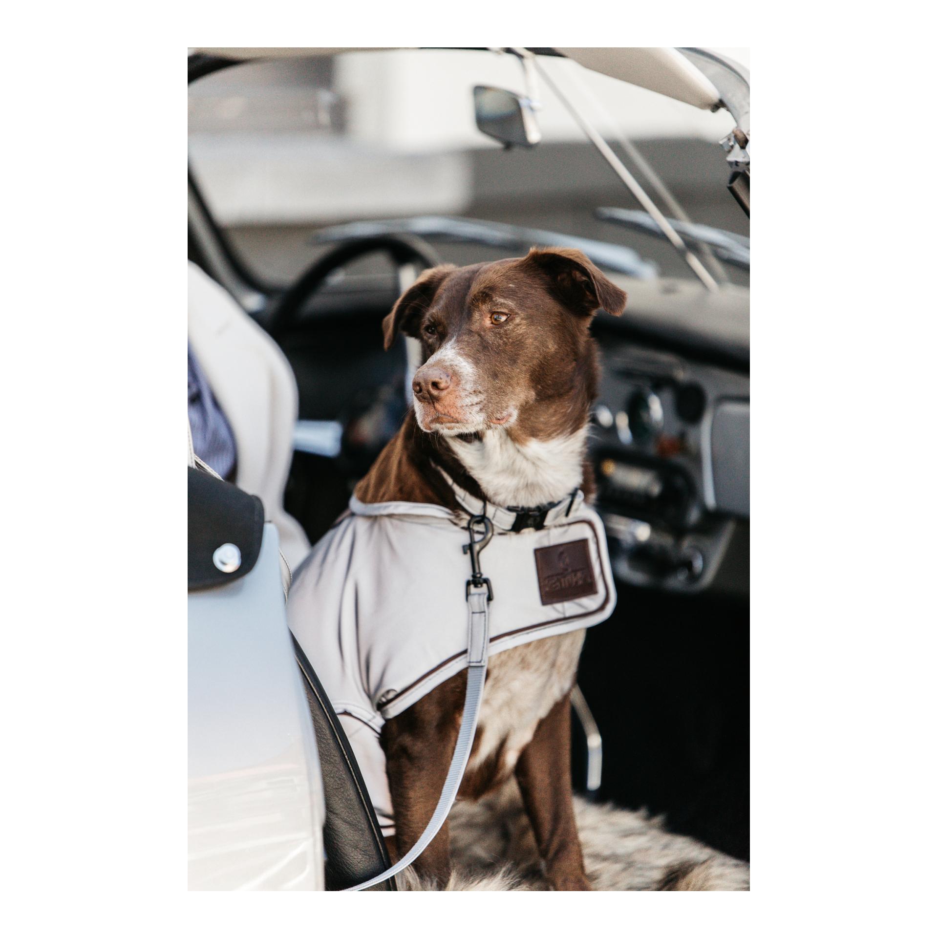 Kentucky Dogwear Hundemantel reflektierend & wasserabweisend