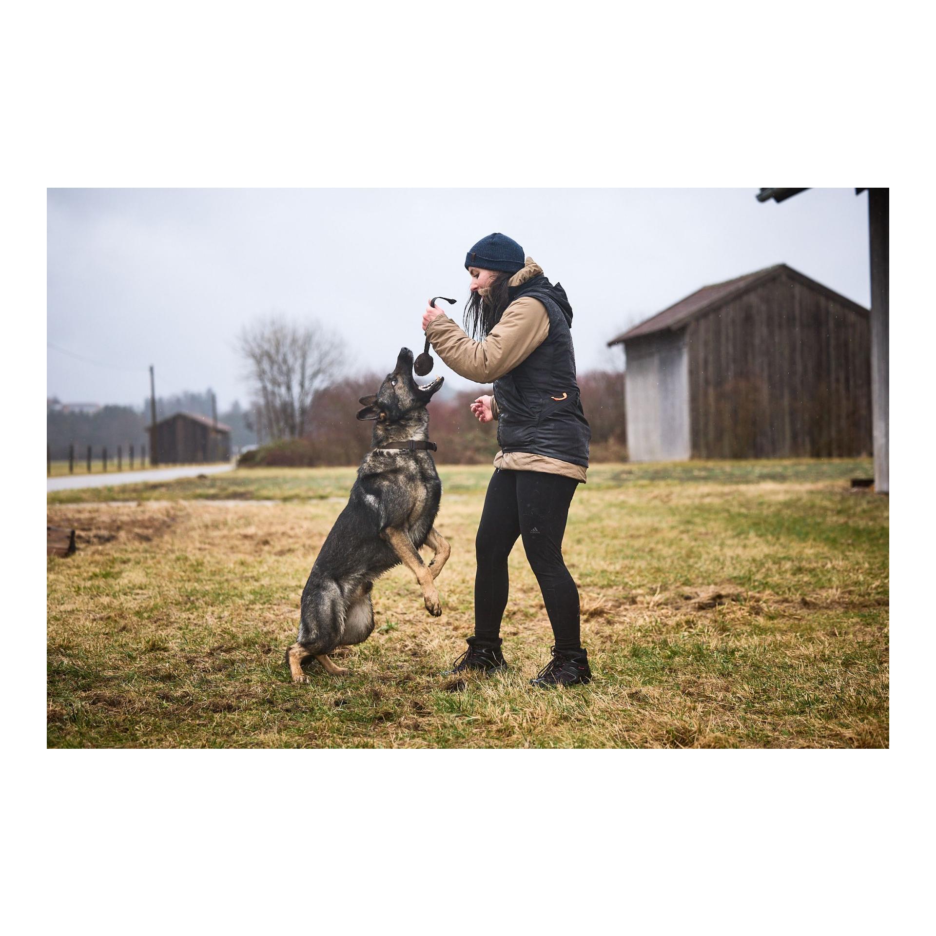 Non-stop Dogwear Hundetrainingsveste Obedience Vest