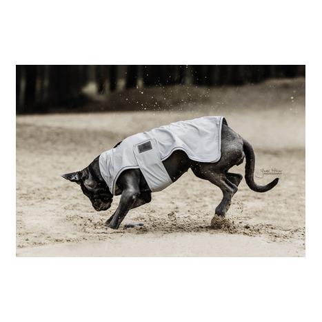 Kentucky Dogwear Hunde Regenjacke