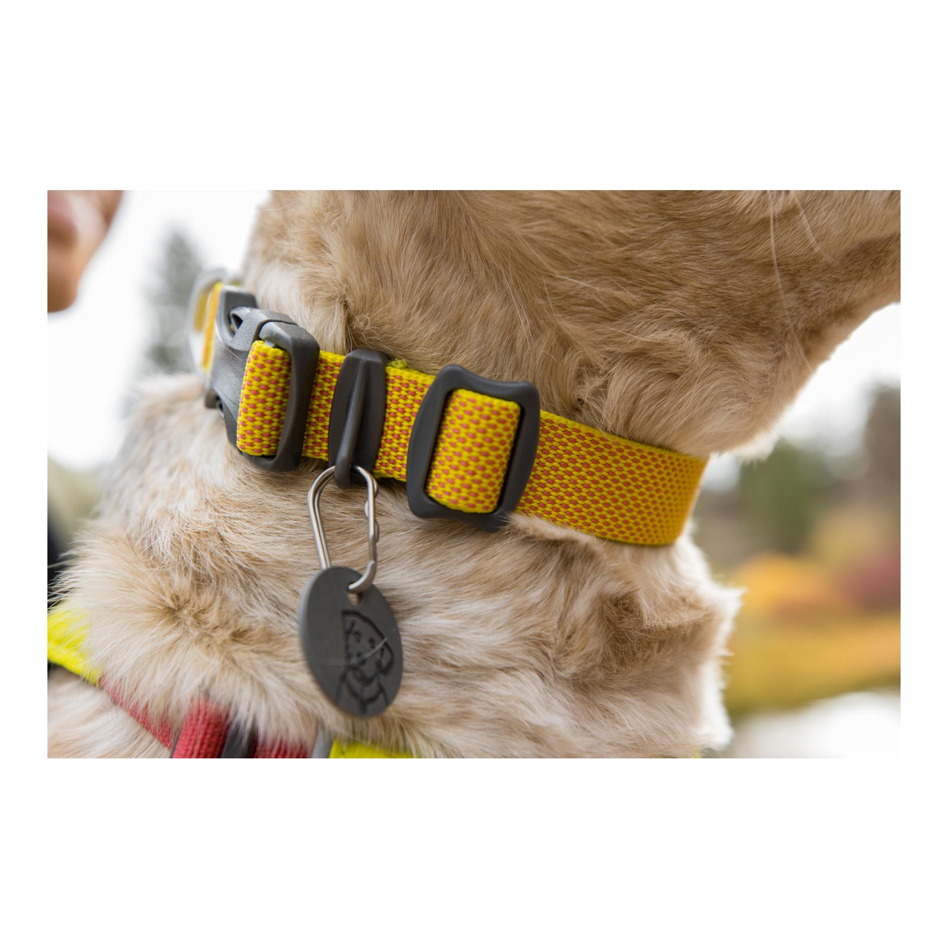 Ruffwear Hi & Light™ Halsband