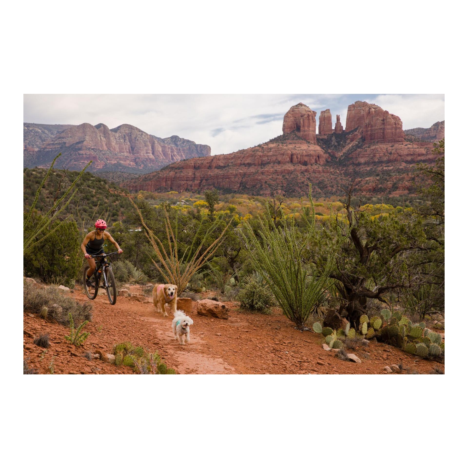 Ruffwear Gilet Swamp Cooler Zip™