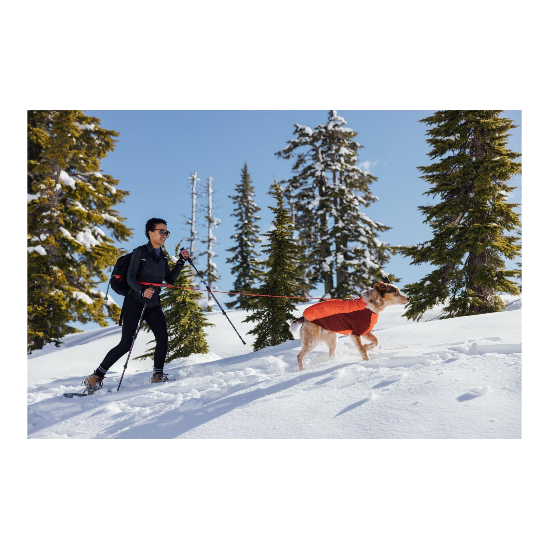 Ruffwear Veste pour chien Powder Hound™ Jacket