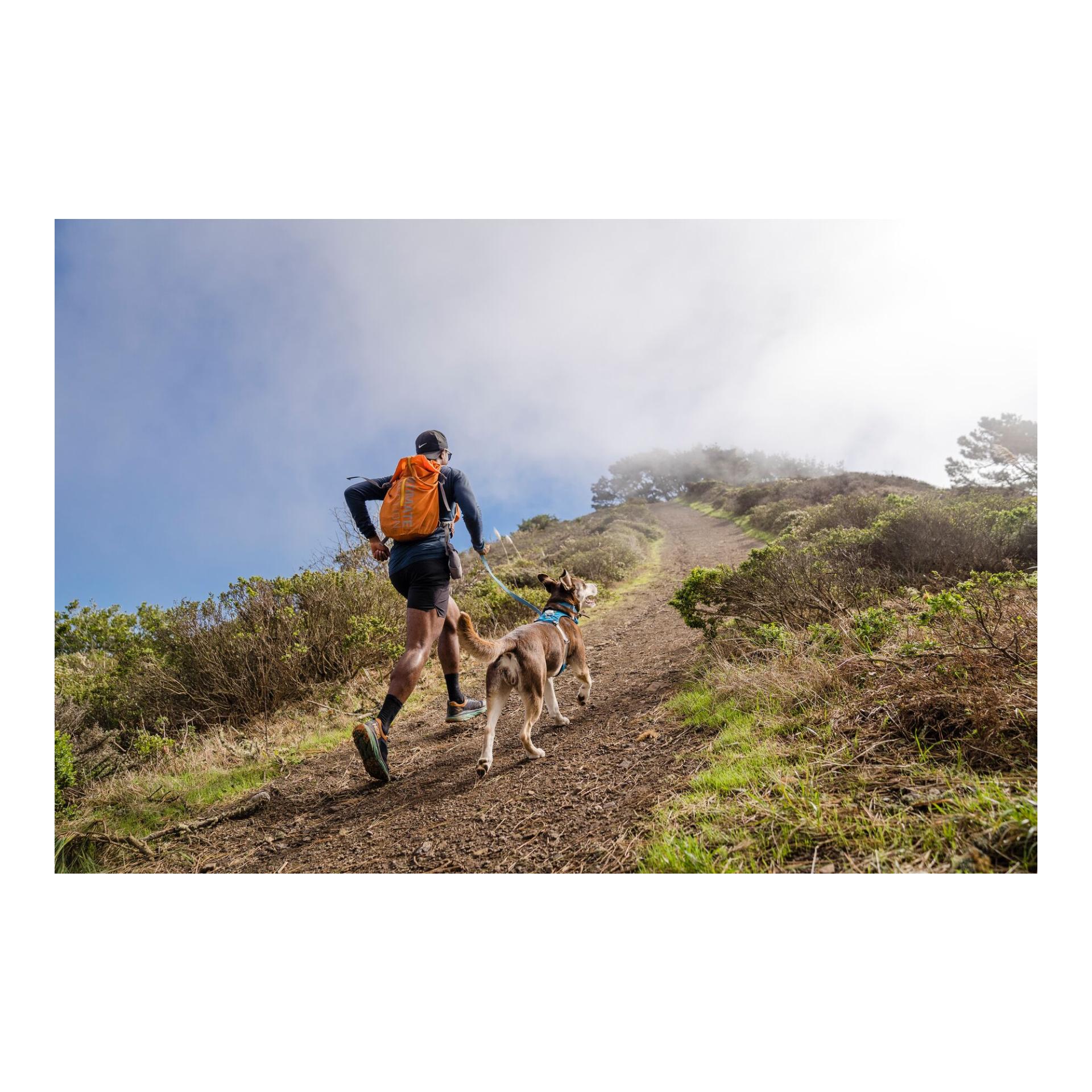 Ruffwear Hi & Light™ Geschirr