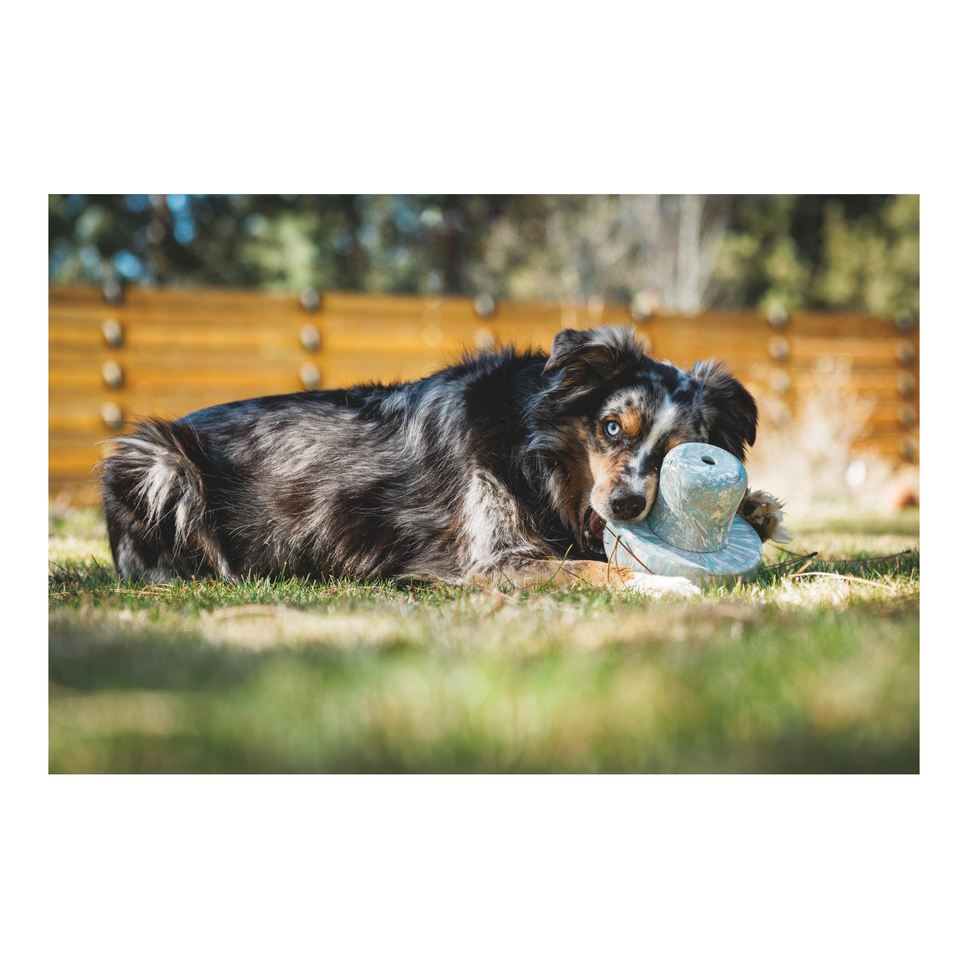 Ruffwear Jouet pour chien Porchini