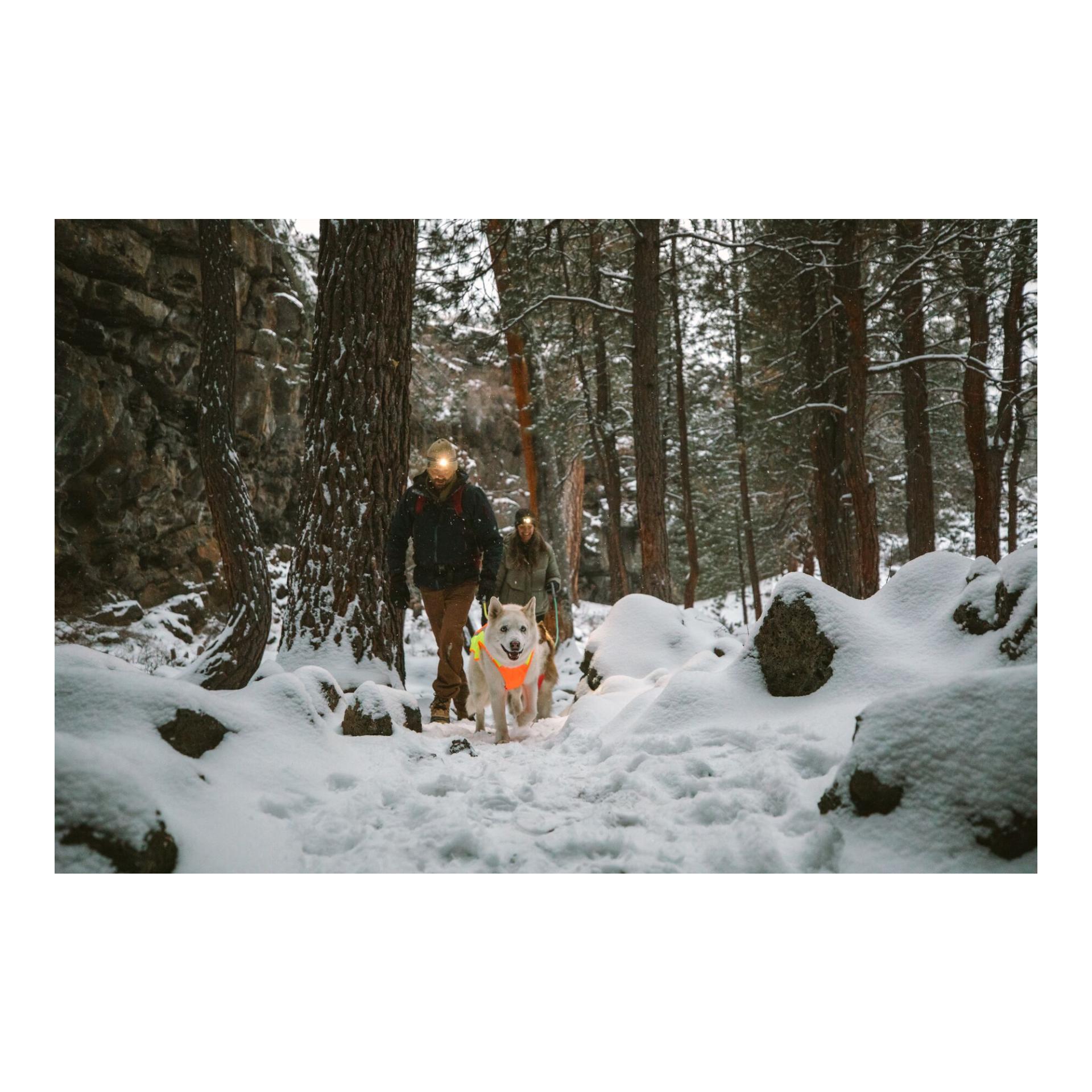 Ruffwear Veste pour chien Lumenglow™ Hi-Viz Jacket - orange vif