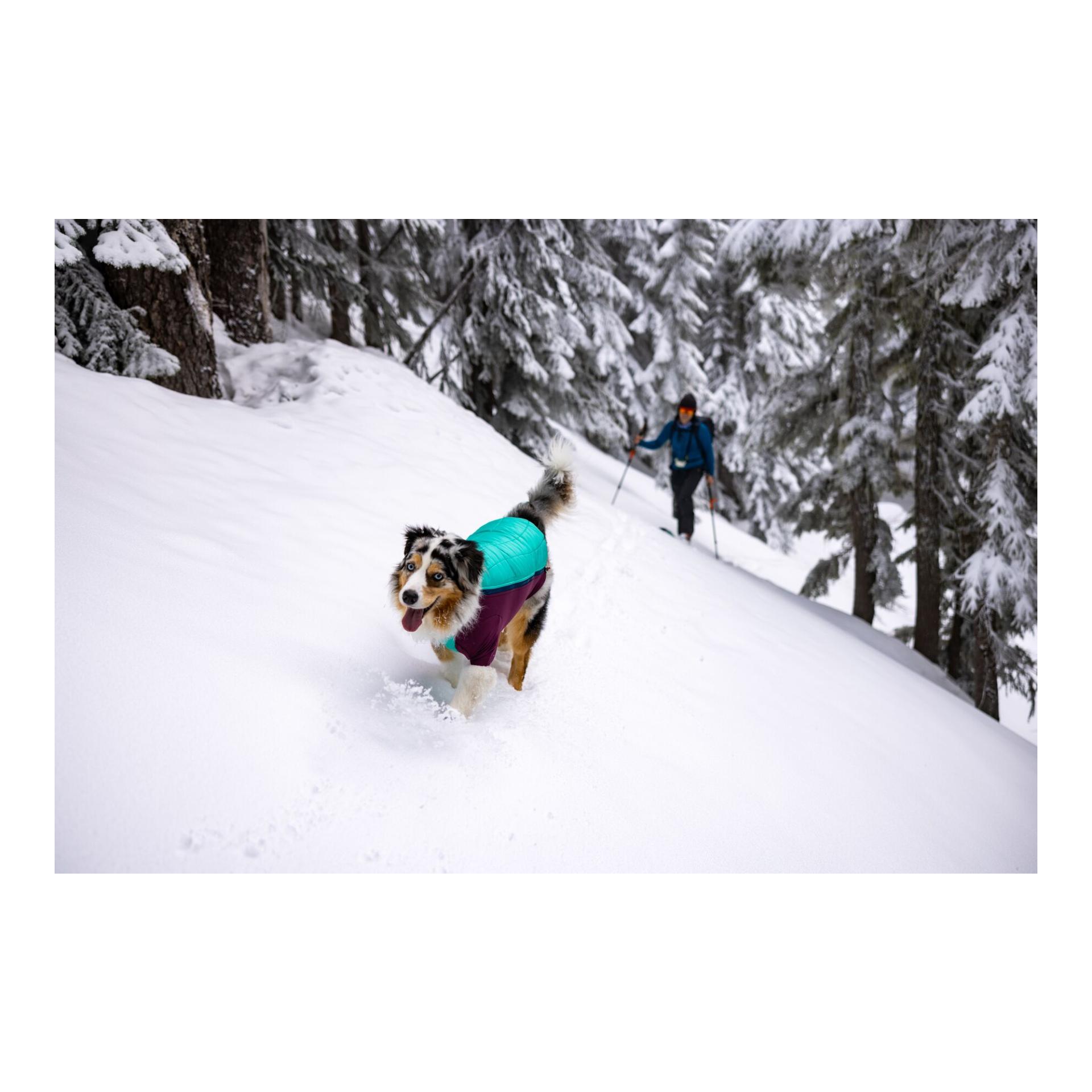 Ruffwear Veste pour chien Powder Hound™ Jacket