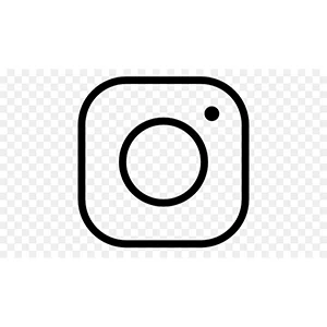 icons RS_0002_instagram icon