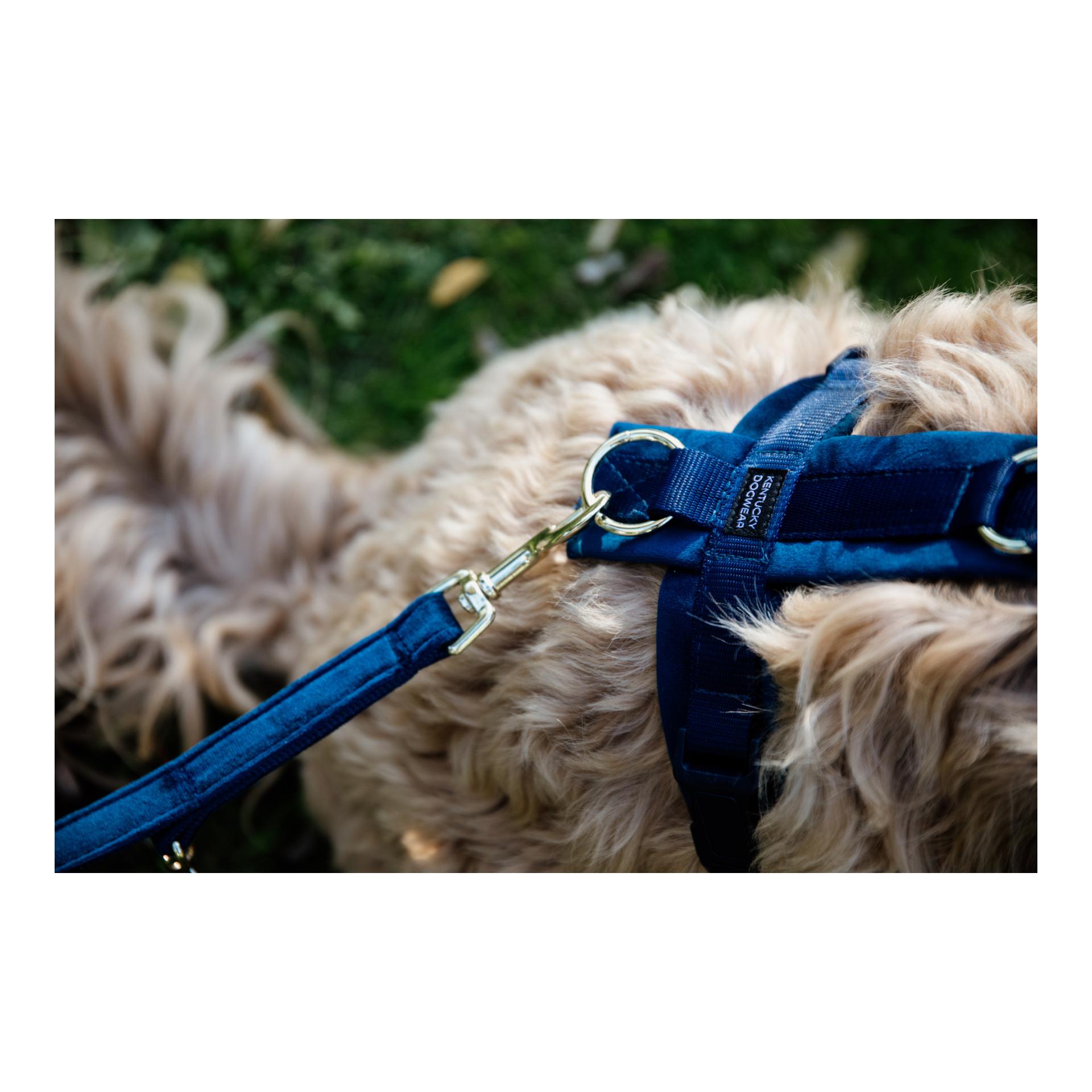 Kentucky Dogwear Hundegeschirr Active Velvet