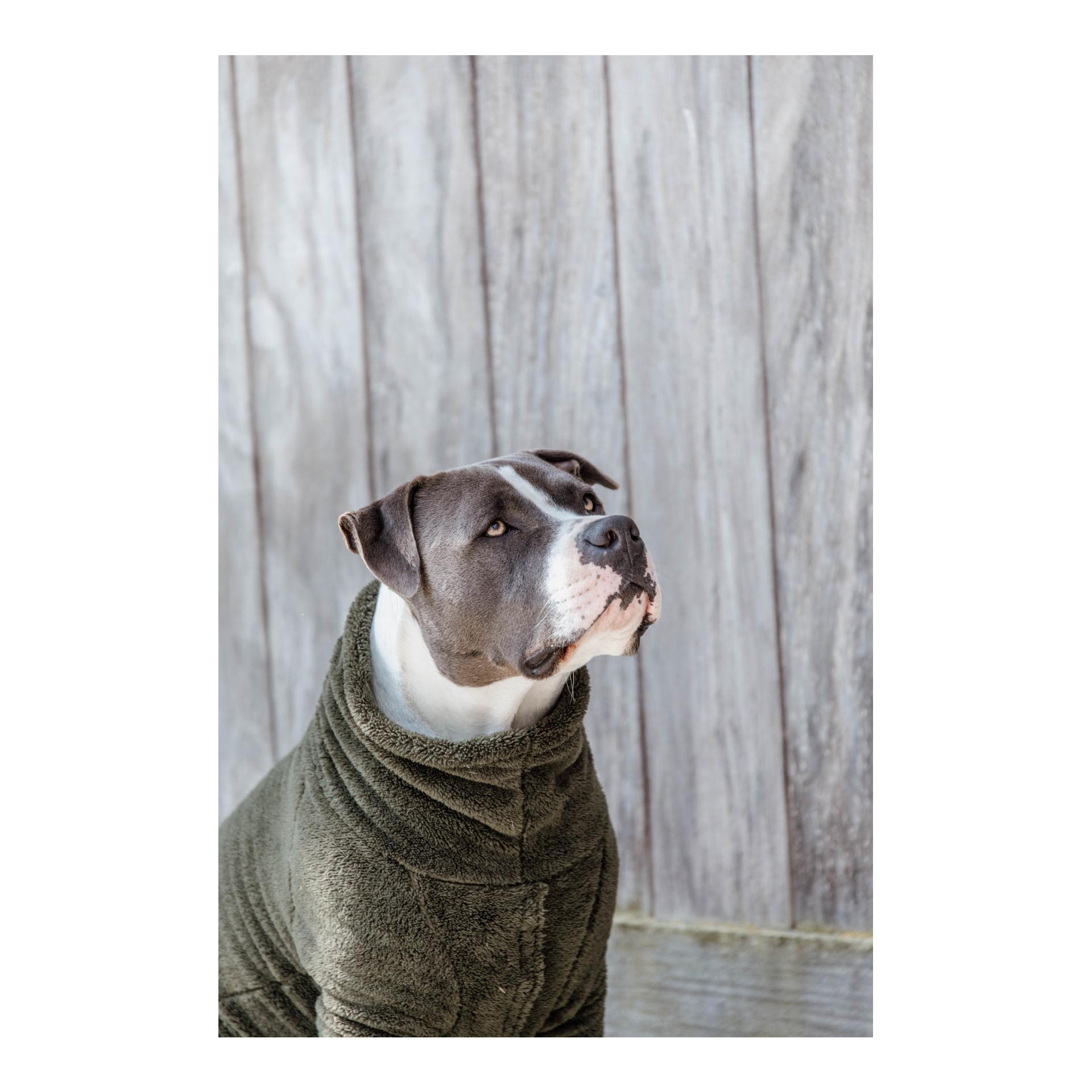Kentucky Dogwear Hundepullover Teddy Fleece - Pine Green