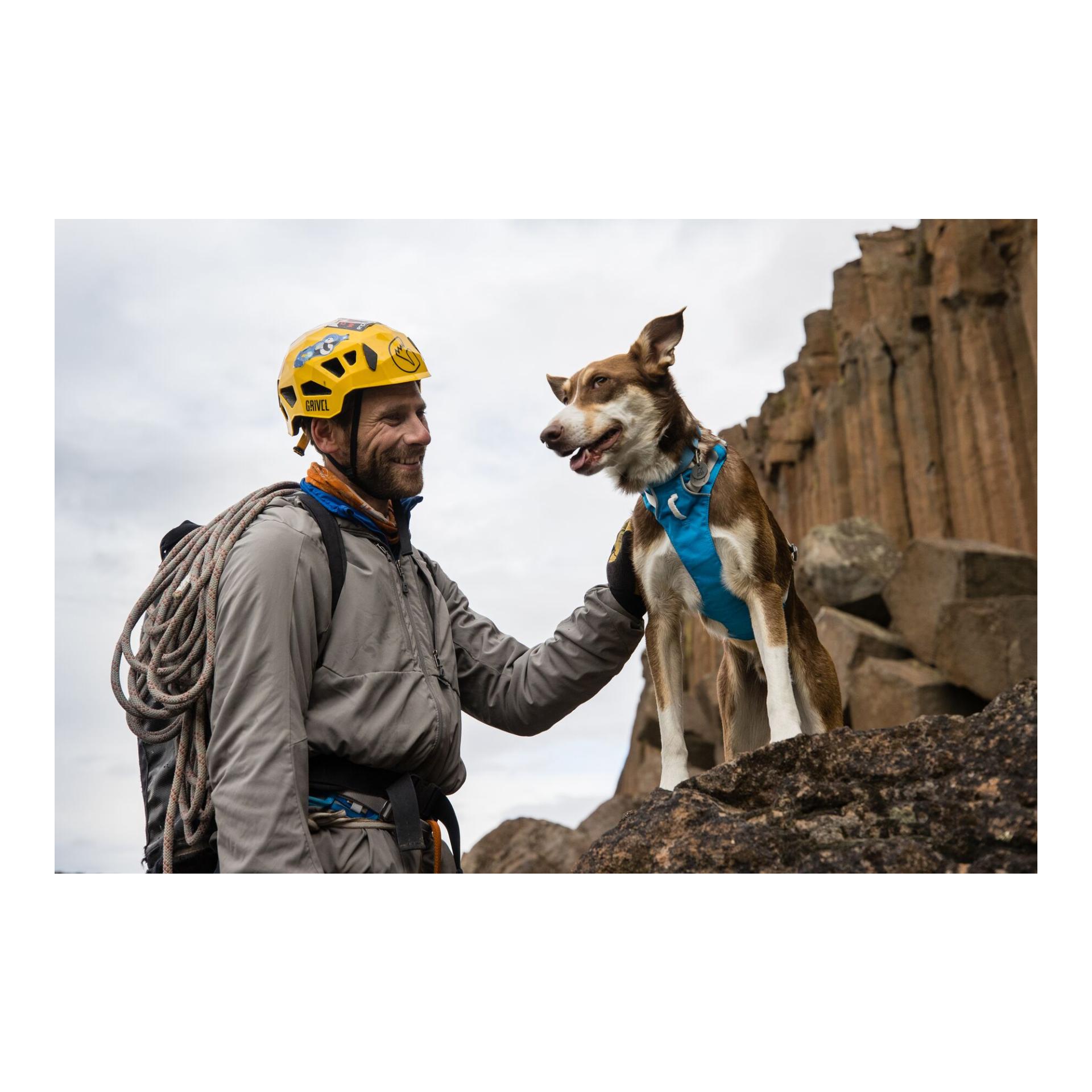 Ruffwear Flagline™ Hundegeschirr