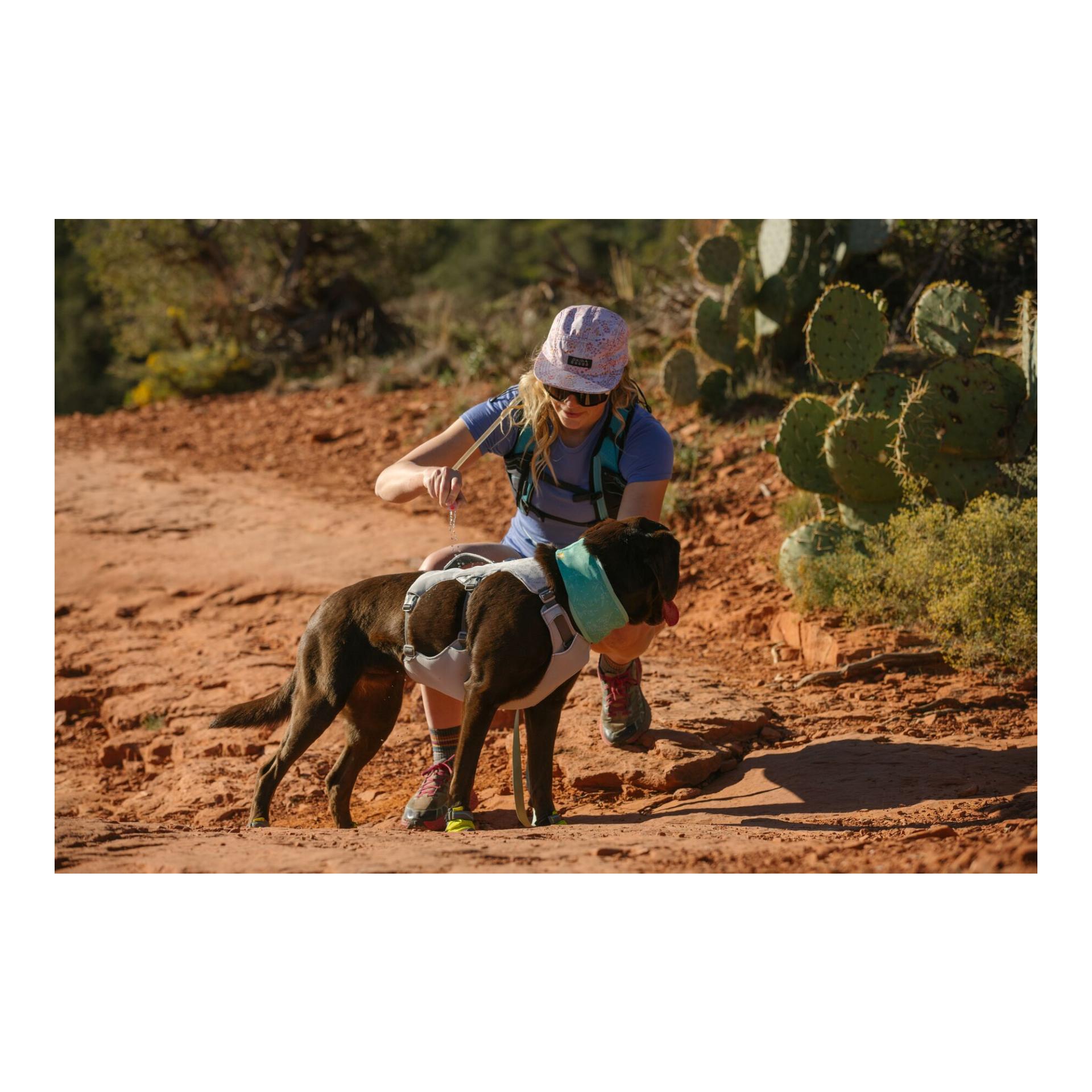 Ruffwear Harnais Swamp Cooler Zip™