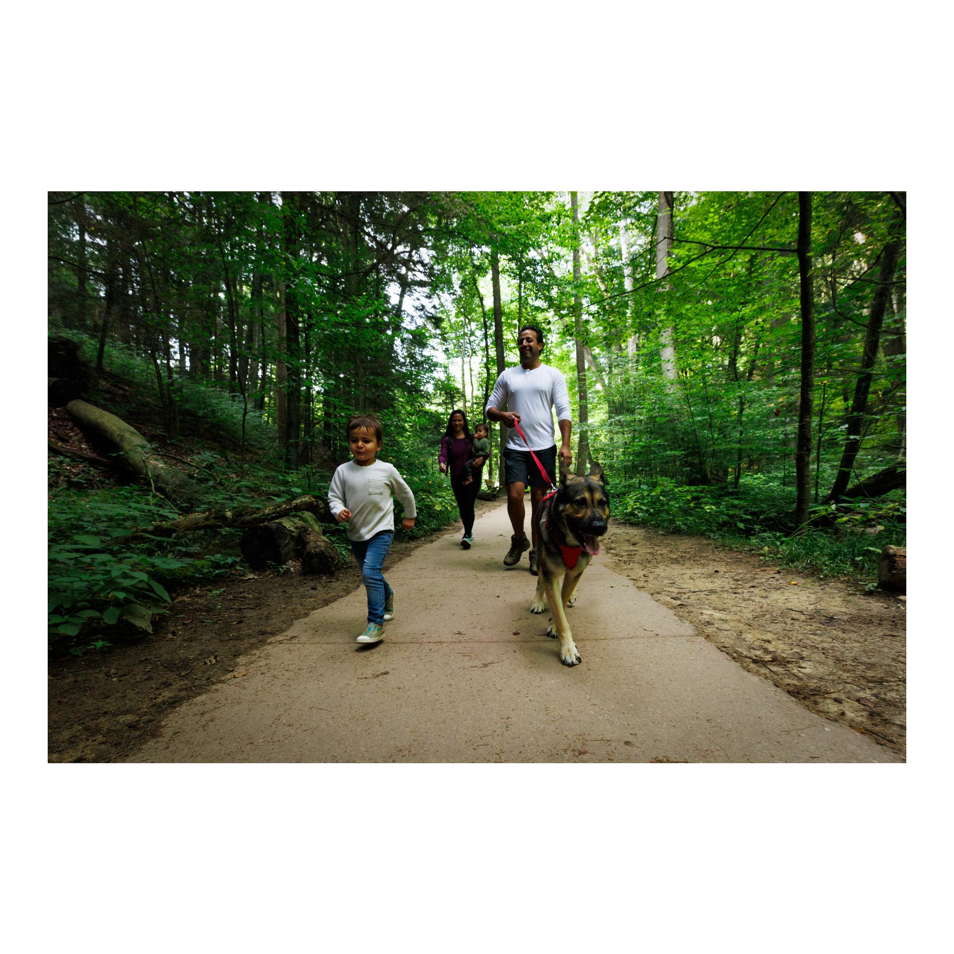 Ruffwear Front Range® Hundegeschirr