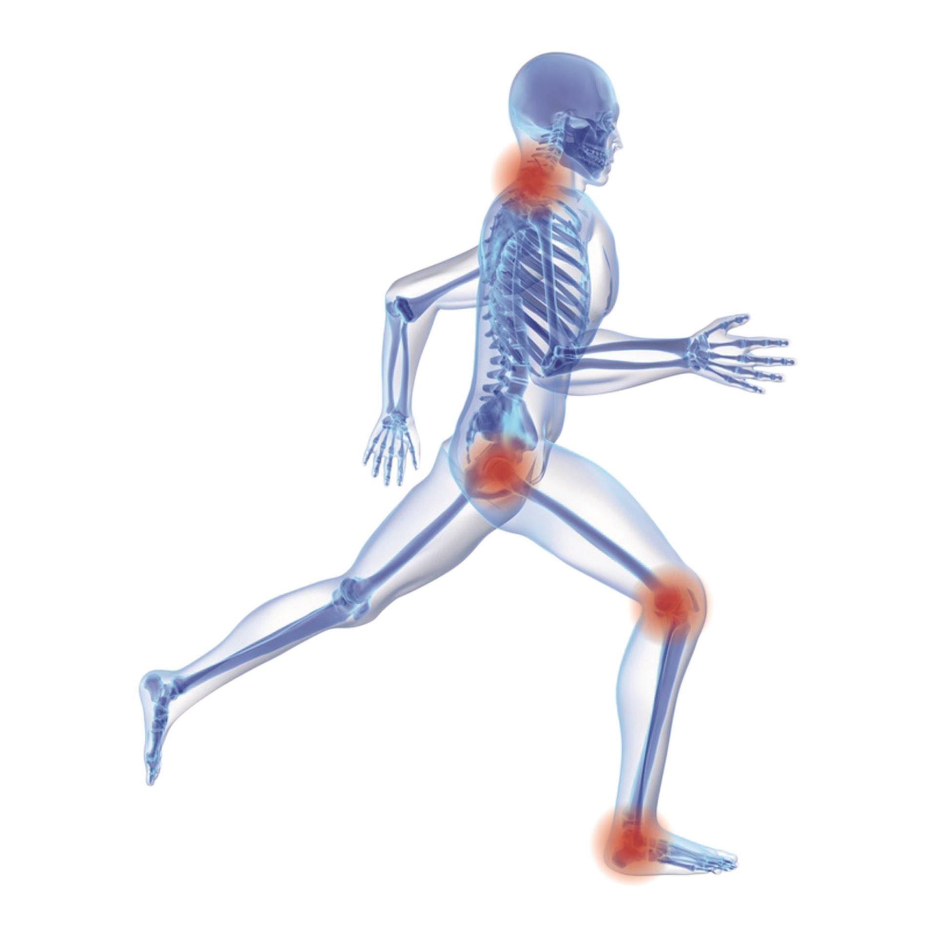 GoForm Memory-Komfort-Einlage