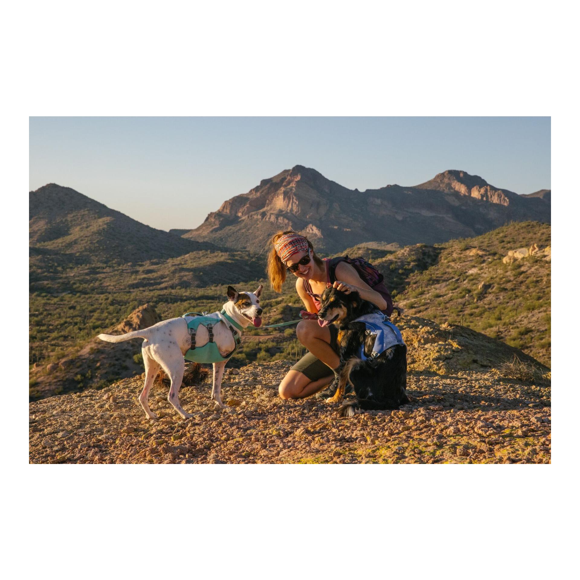 Ruffwear Harnais Swamp Cooler Zip™