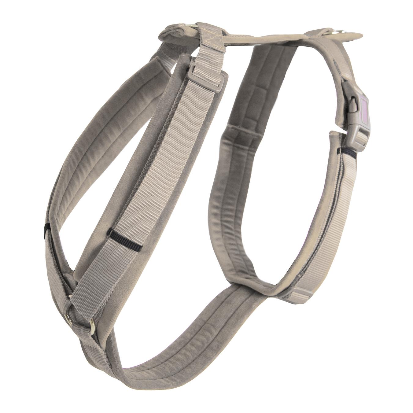 Kentucky Dogwear Hundegeschirr Active Velvet