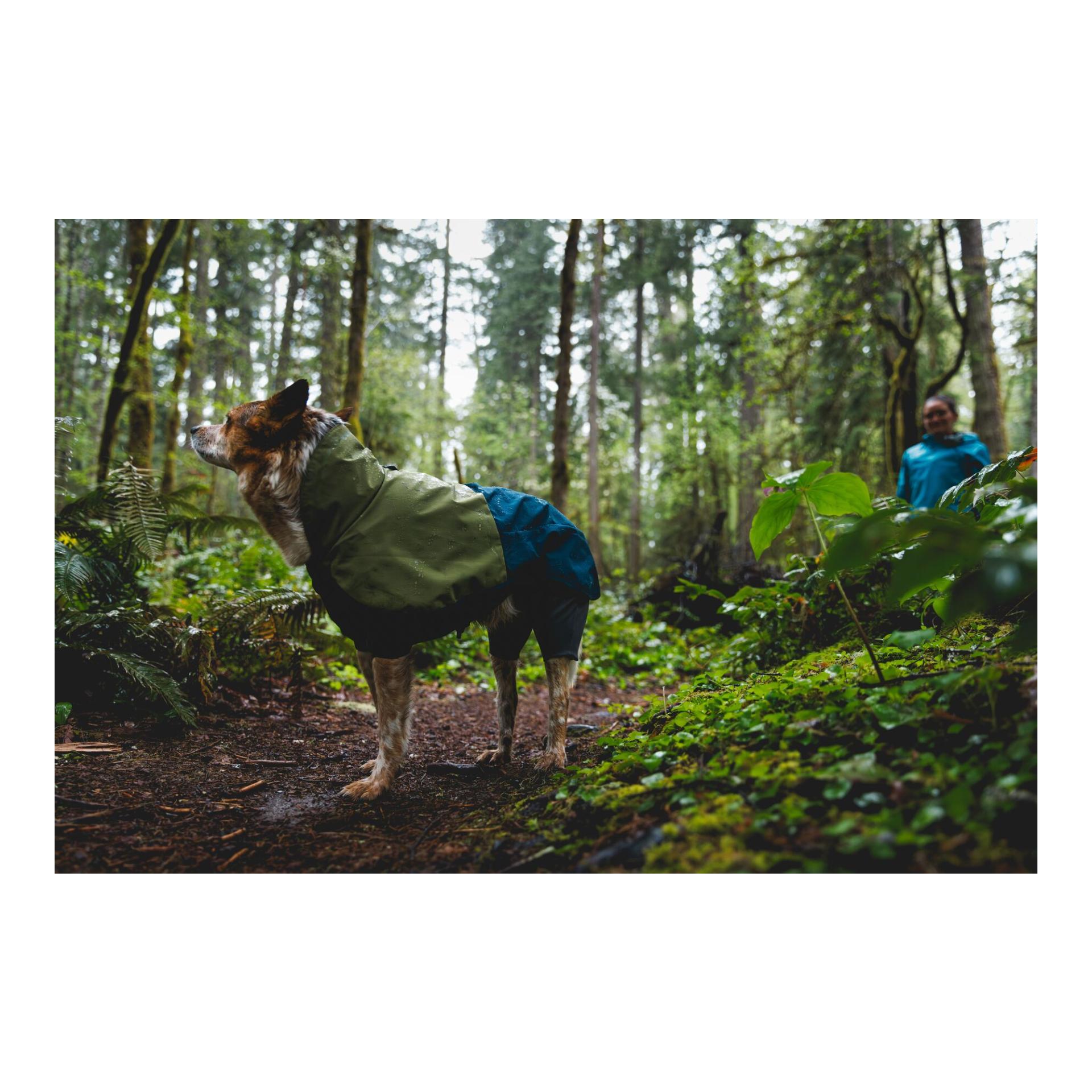 Ruffwear Sun Shower Coverall manteau pour chien