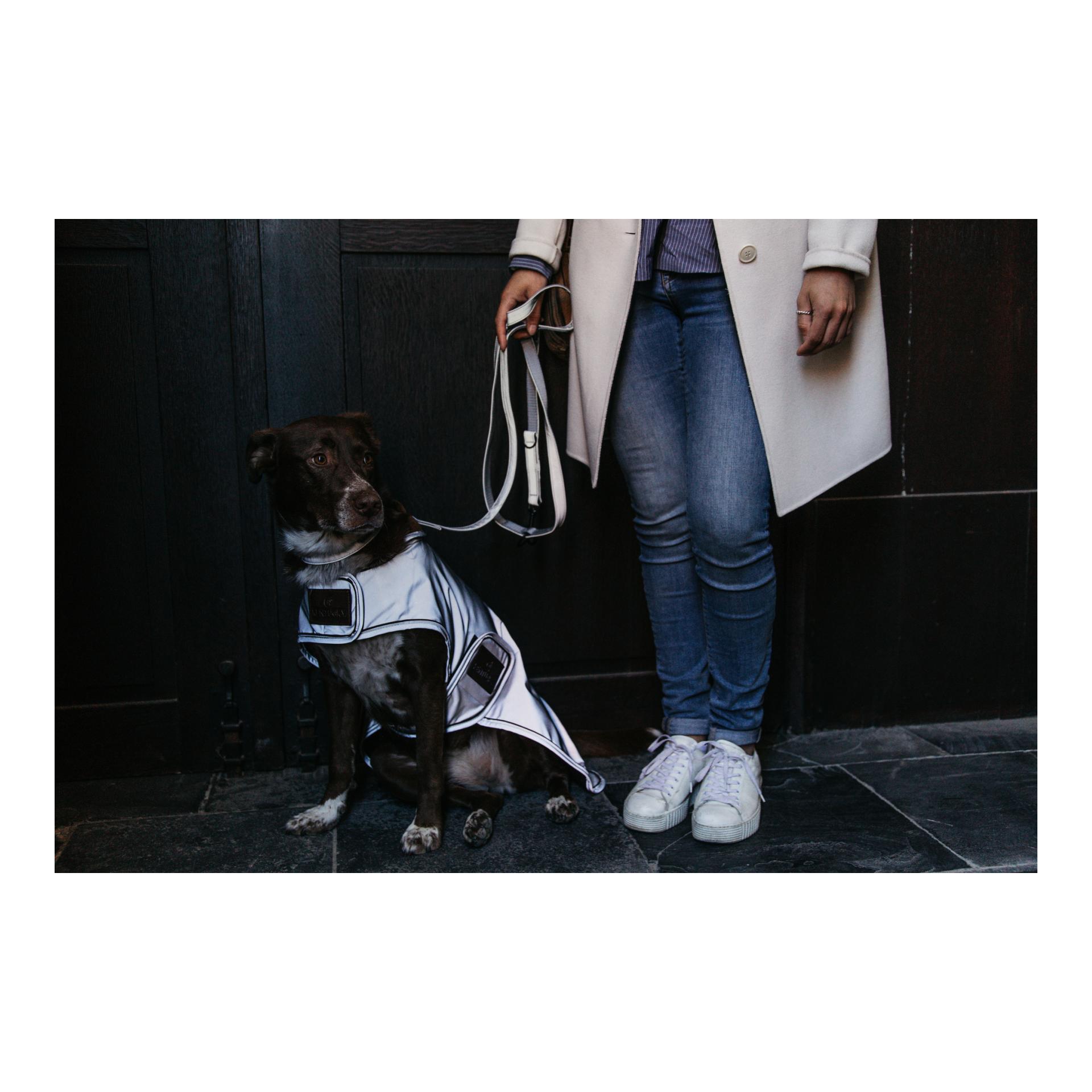 Kentucky Dogwear Hundemantel reflektierend & wasserabweisend