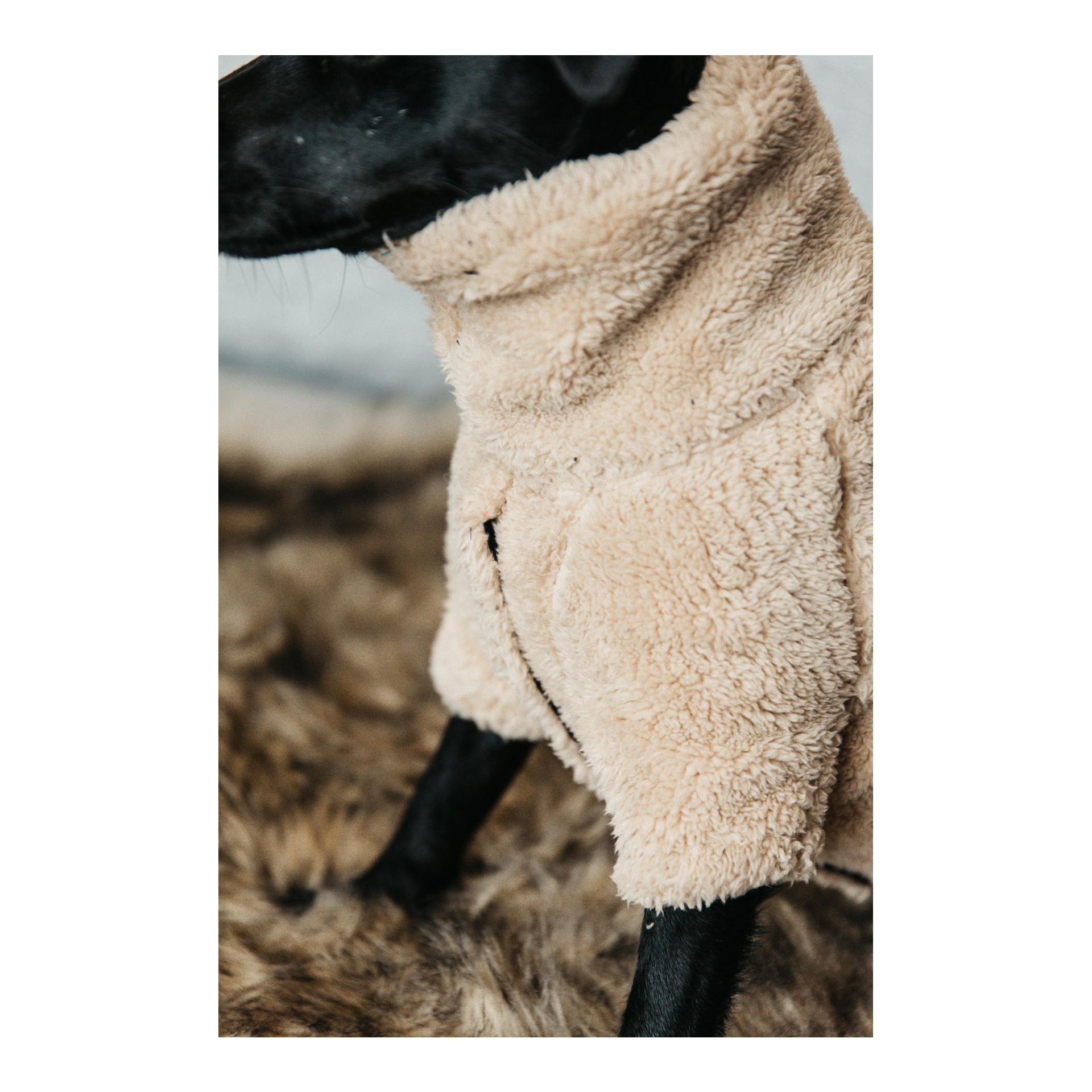 Kentucky Dogwear Hundepullover Teddy Fleece - beige