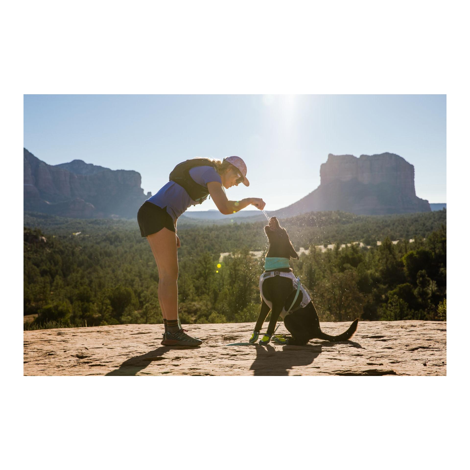Ruffwear Swamp Cooler™ Geschirr