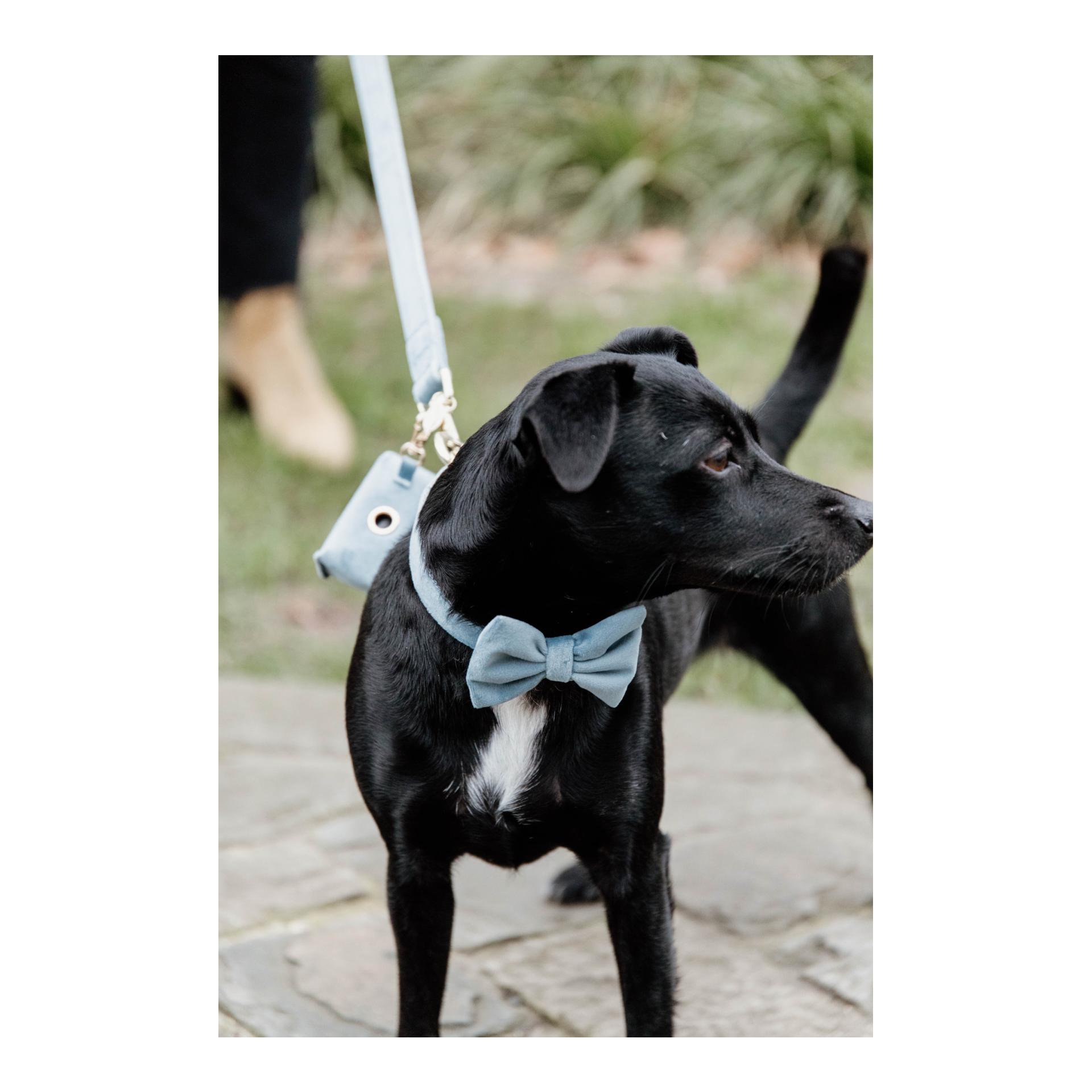 Kentucky Dogwear Kotbeutelspender Velvet Square