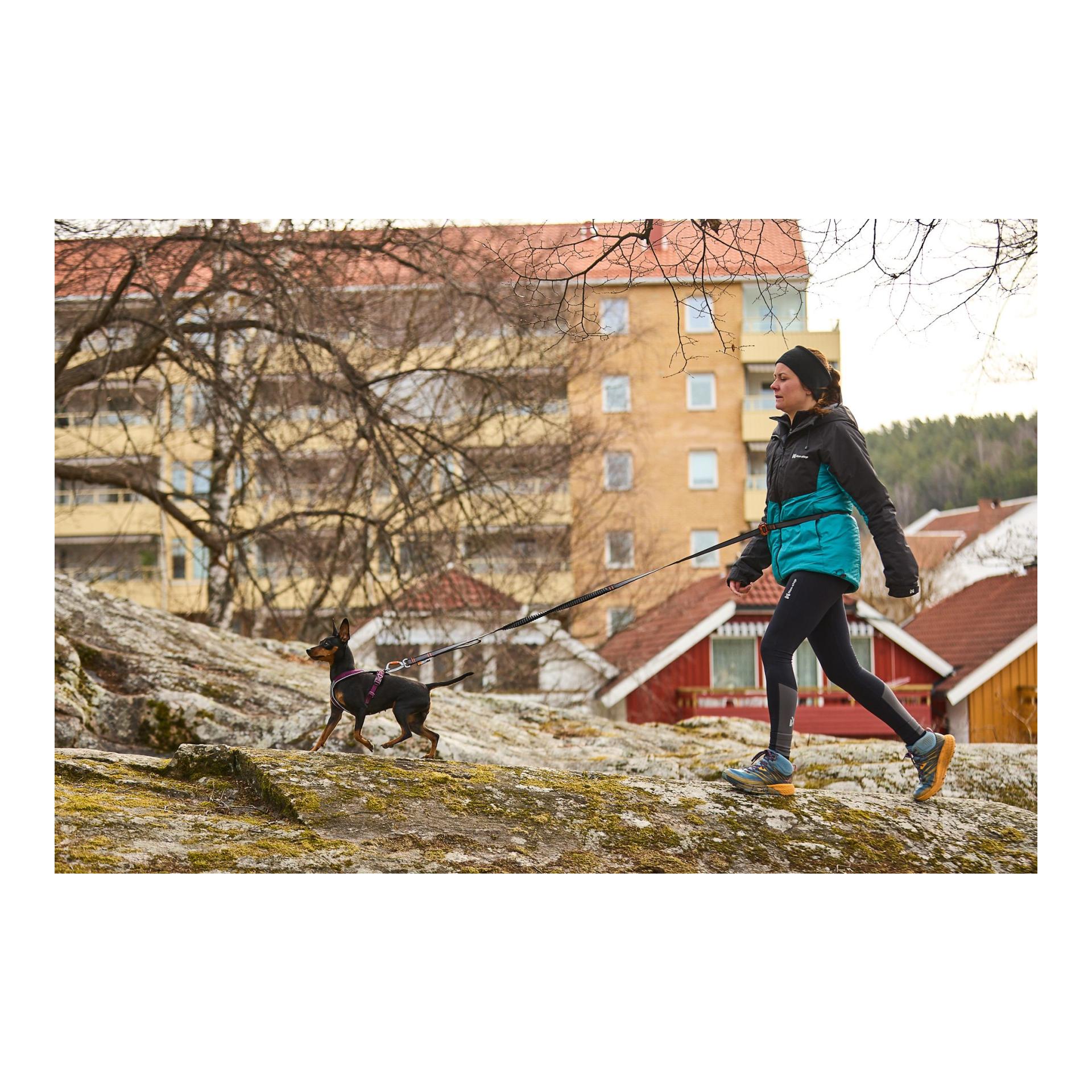Non-stop Dogwear Laisse pour chien Touring Bungee Leash Adjustable