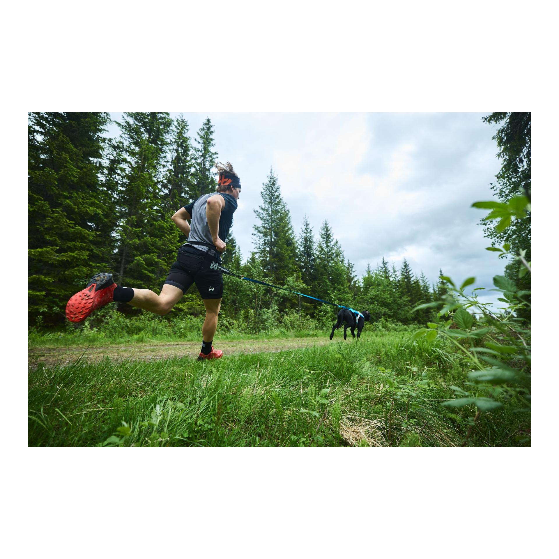 Non-stop Dogwear CaniX Belt pro