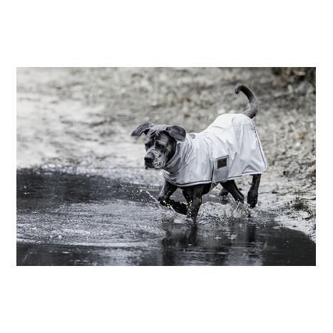 Kentucky Dogwear Hunde Regenjacke