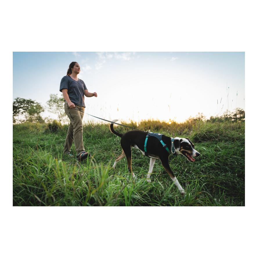 Ruffwear Hi & Light™ Geschirr
