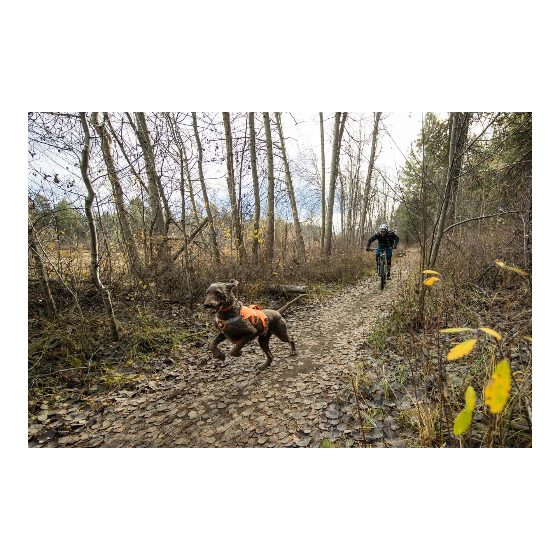 Ruffwear Web Master™ harnais