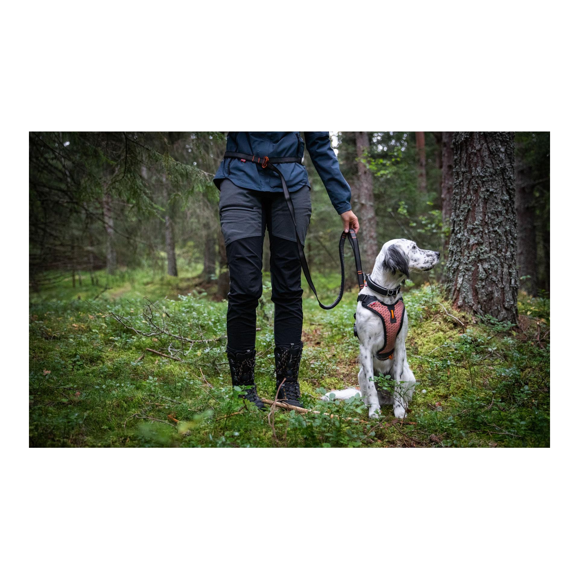Non-stop Dogwear Laisse pour chien Touring Bungee Leash Adjustable
