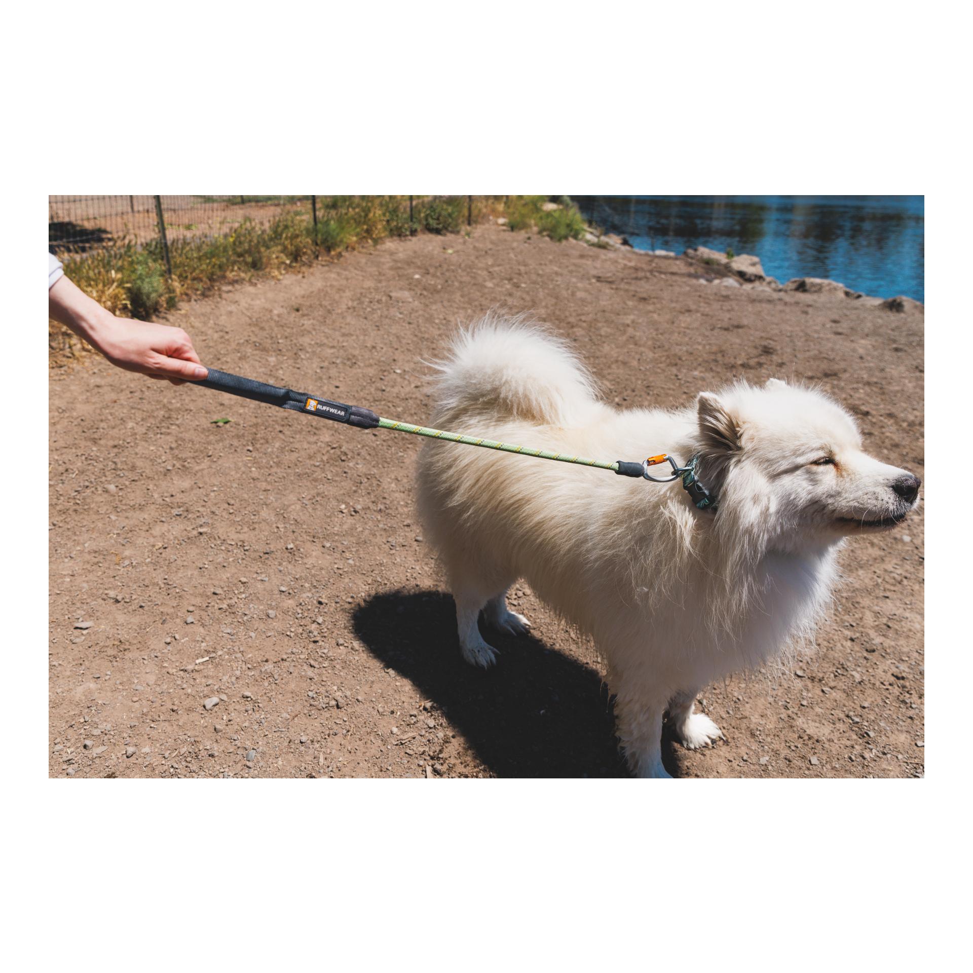 Ruffwear Knot-a-Long Leash Laisse pour chien