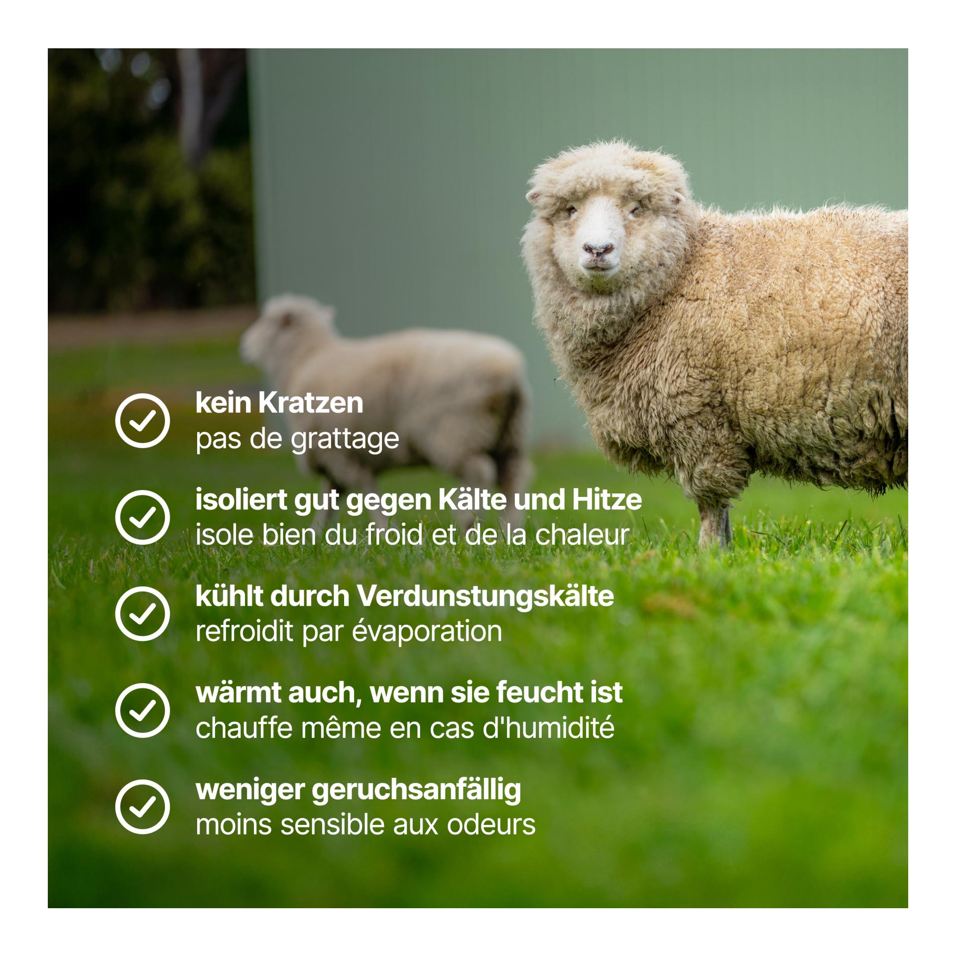 Lasting Sweatshirt mérinos femme BESA, 230 g – noir