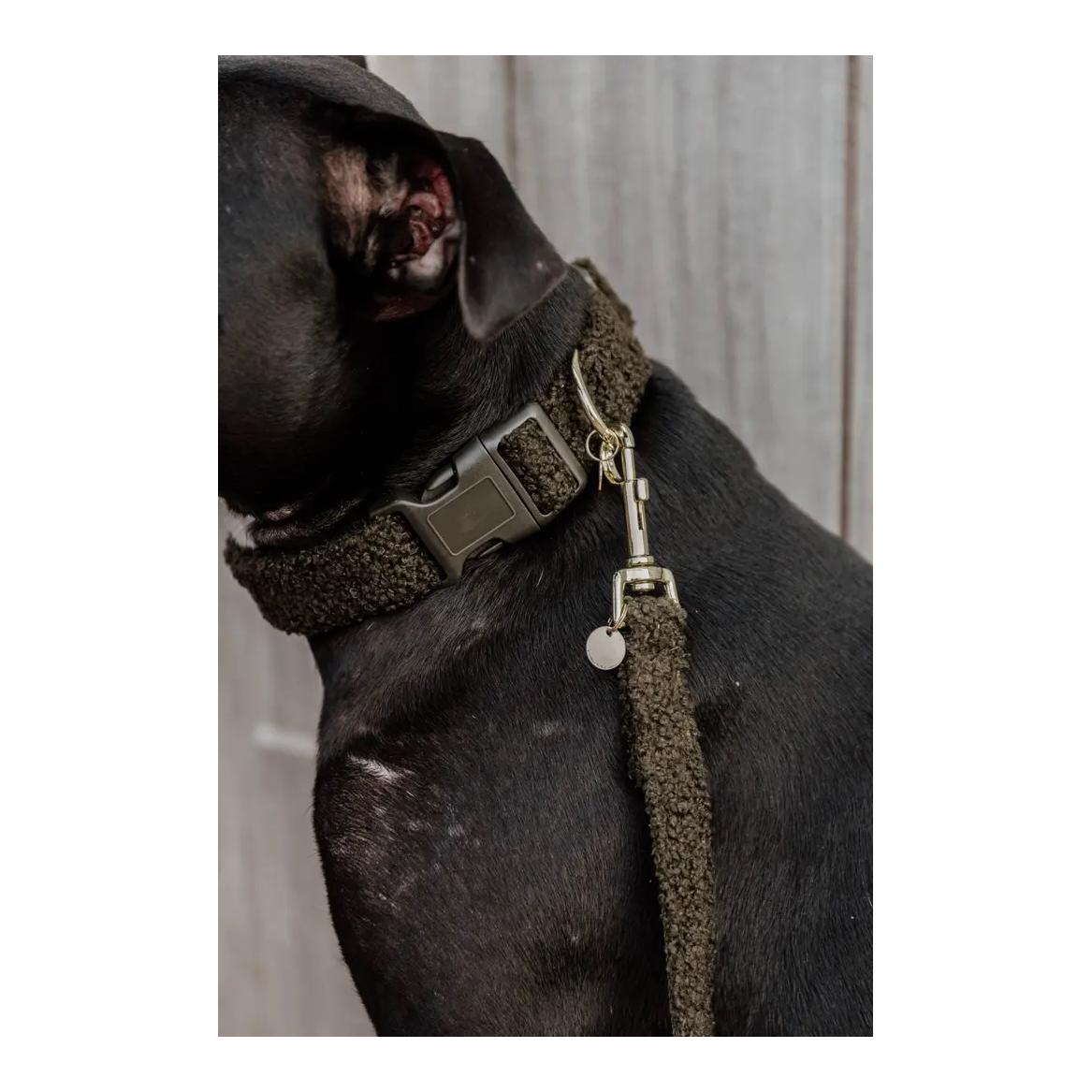 Kentucky Dogwear Hundehalsband Teddy Fleece