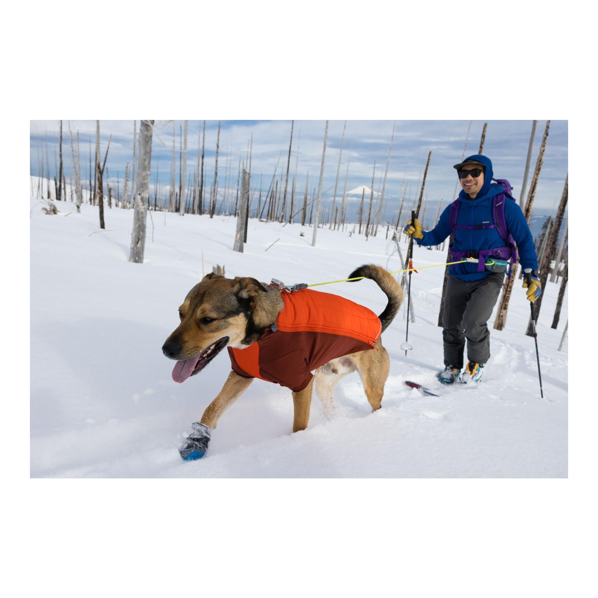 Ruffwear Veste pour chien Powder Hound™ Jacket
