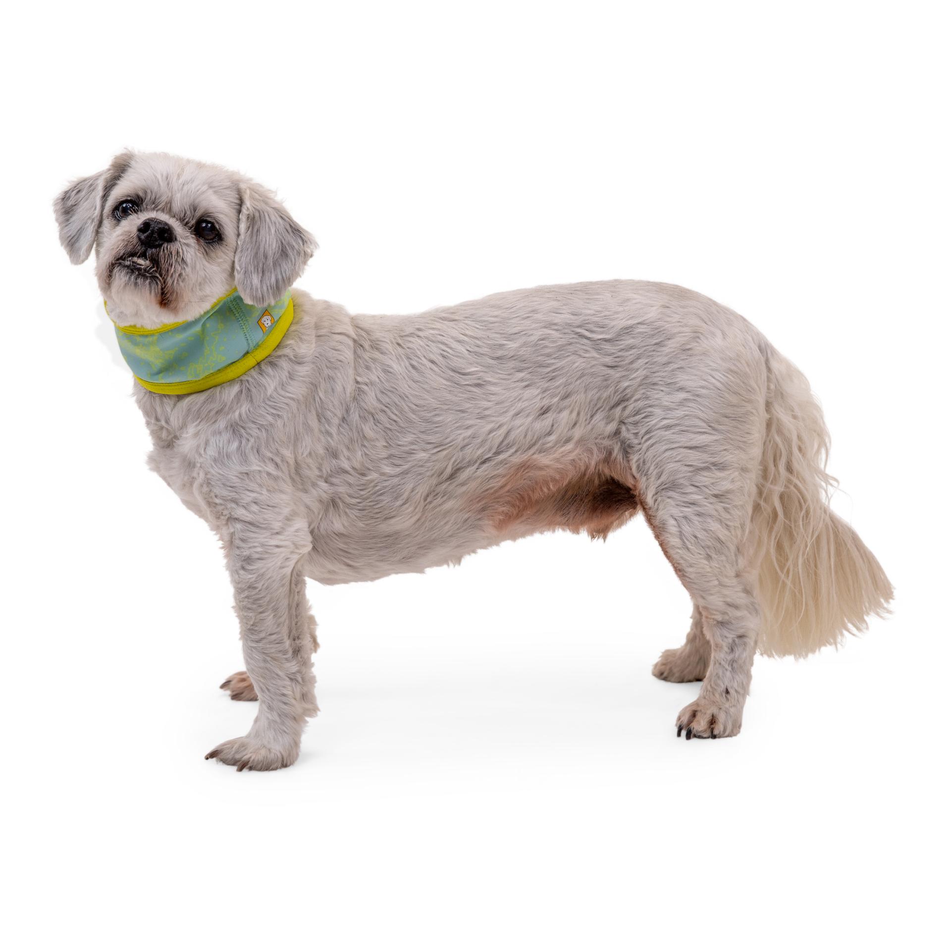 Ruffwear Swamp Cooler™ Halstuch