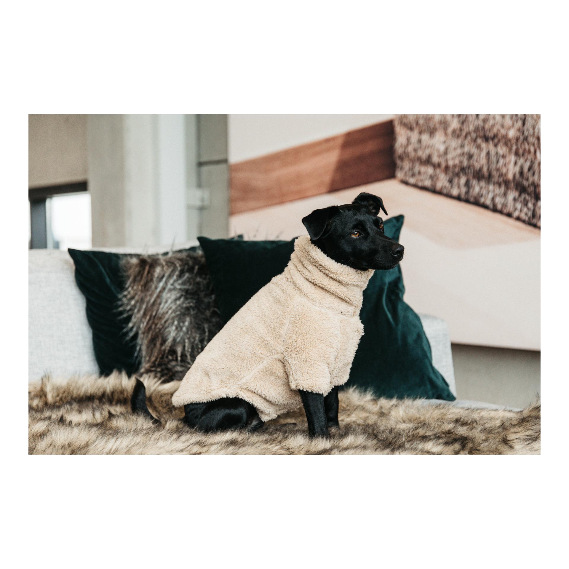 Kentucky Dogwear Hundepullover Teddy Fleece - beige
