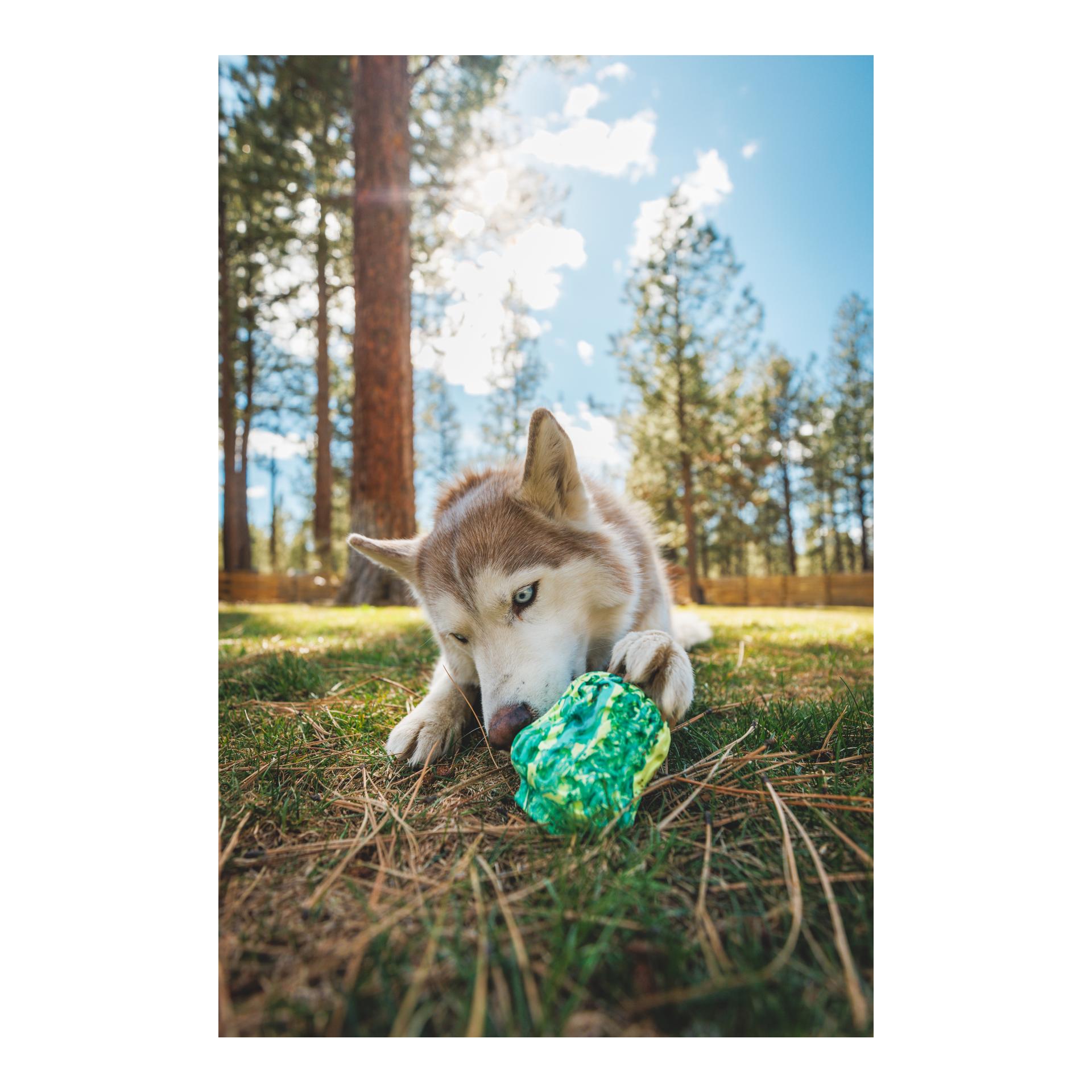 Ruffwear Hundespielzeug Morel