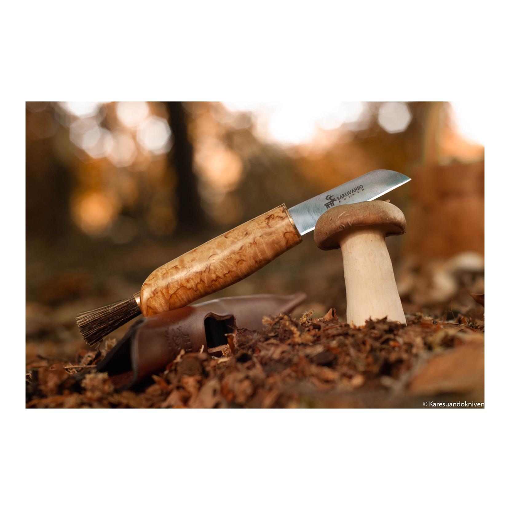 Karesuando Zwampe - Pilzmesser mit Wildschweinborstenbürste und Lederscheide
